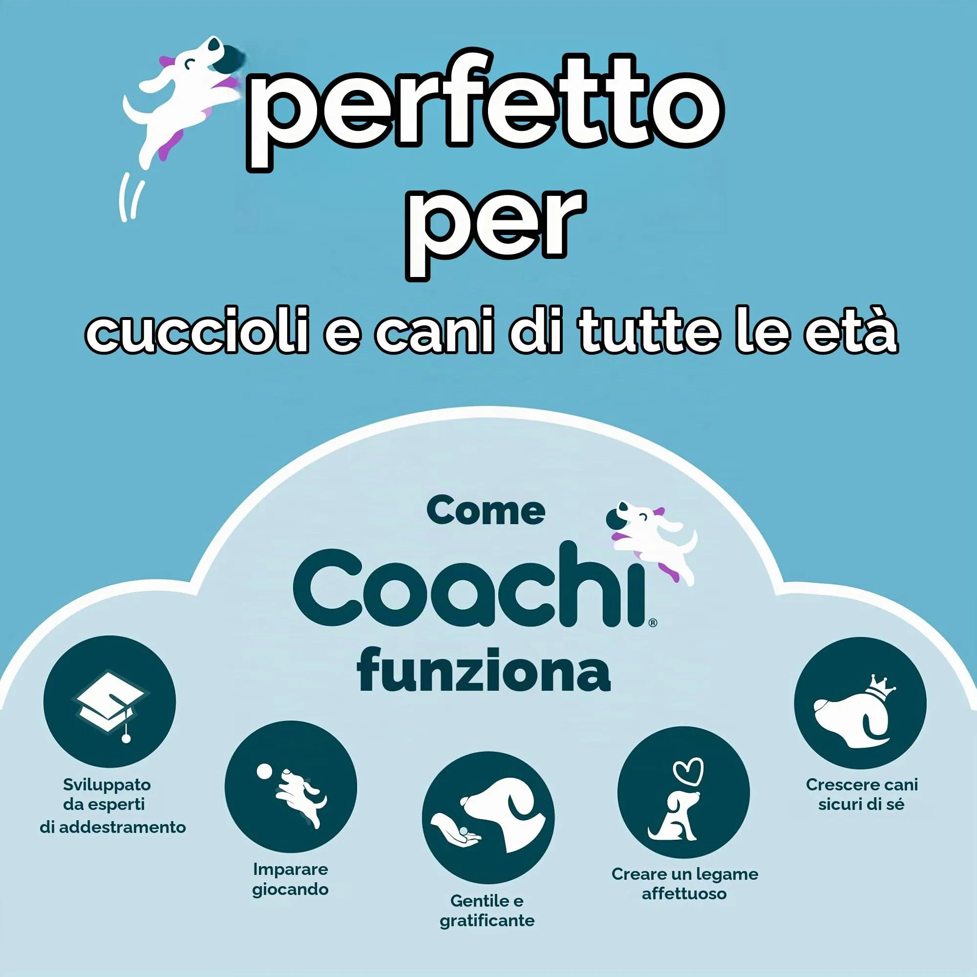 Coachi Chase & Crinkle per cani - immagine 6