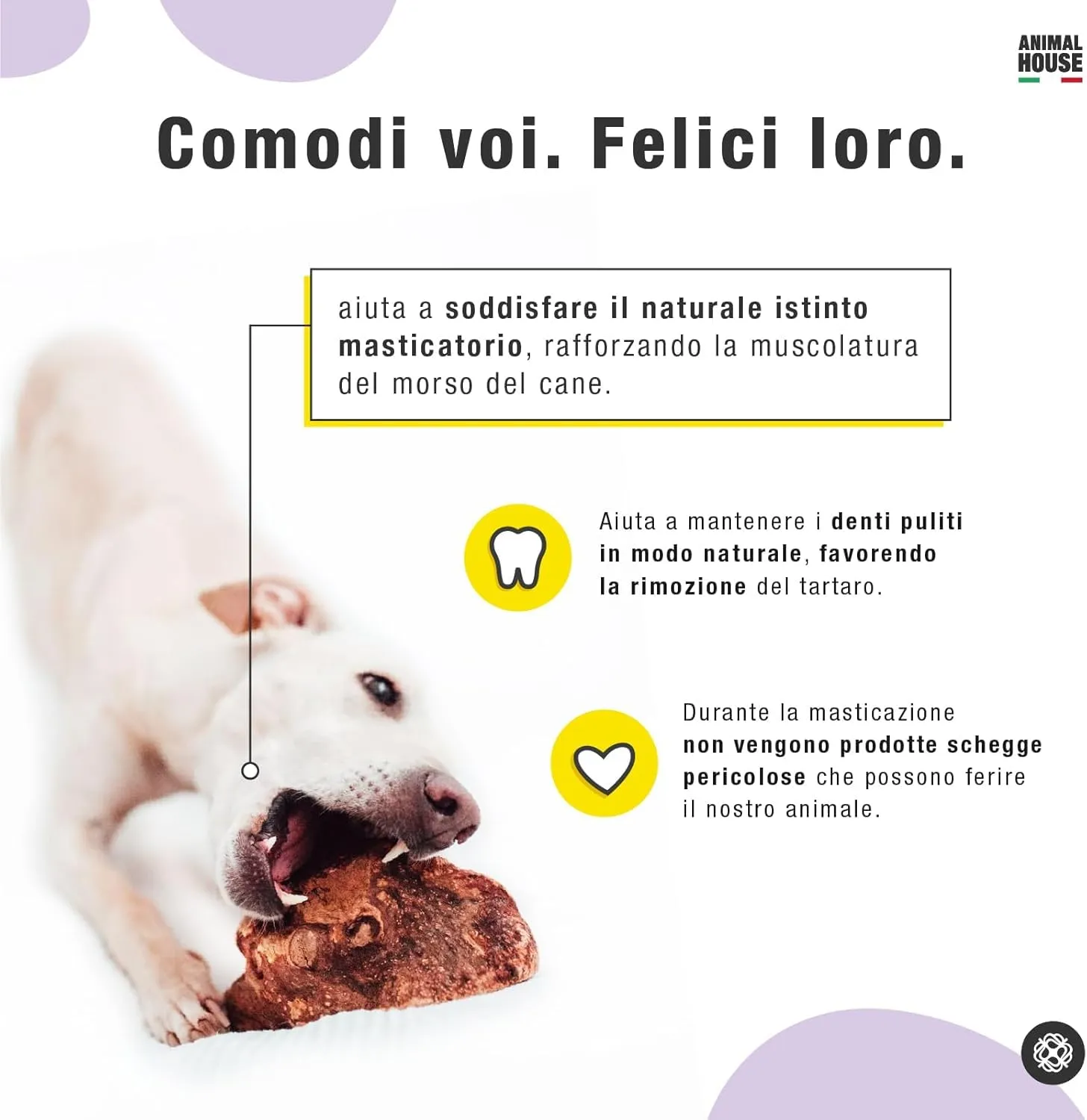 Animal House Radice di Erica per Cani, XS - immagine 4