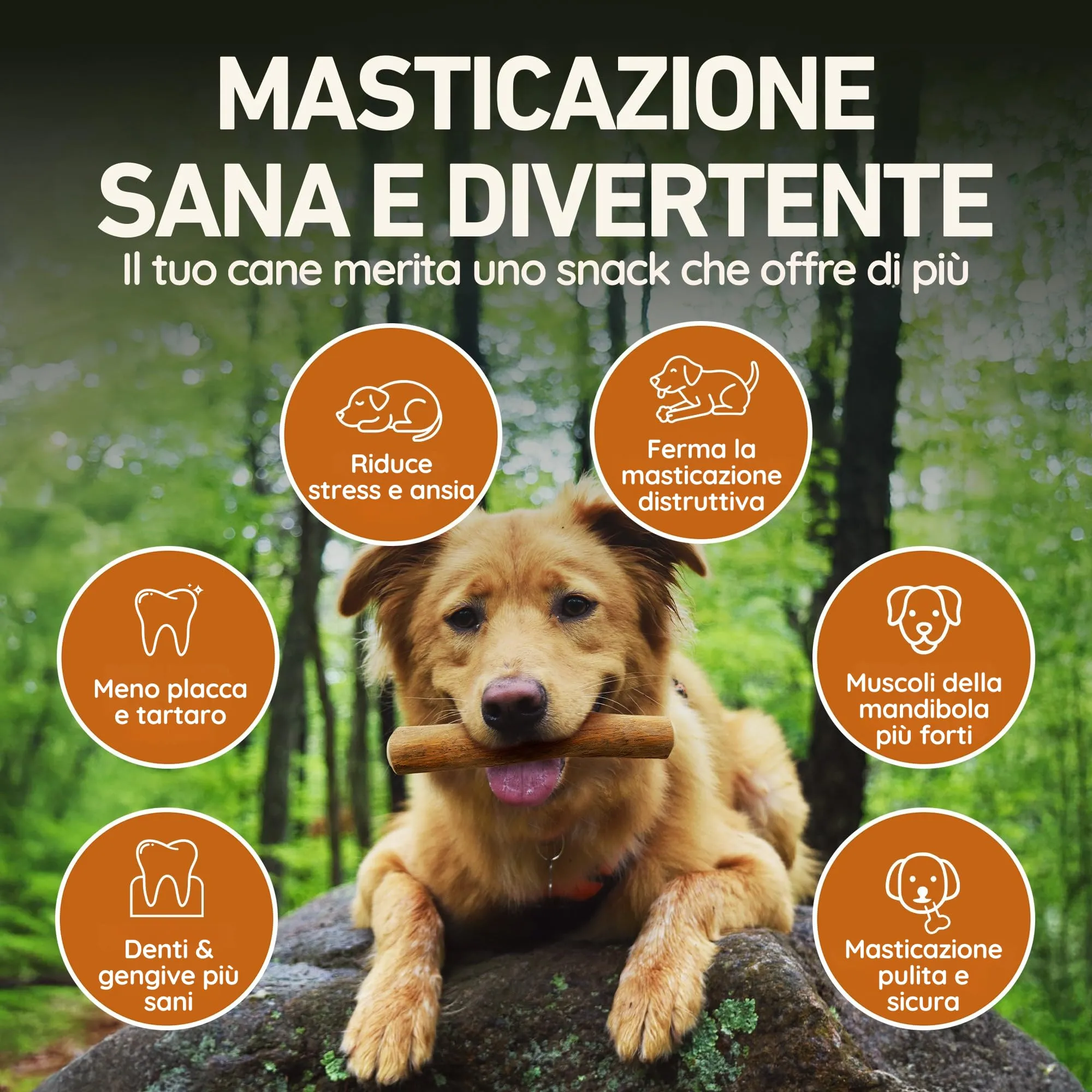 Wildfang Legno di Caffè per Cani, XXS (fino a 5 kg), Confezione da 3 - immagine 5