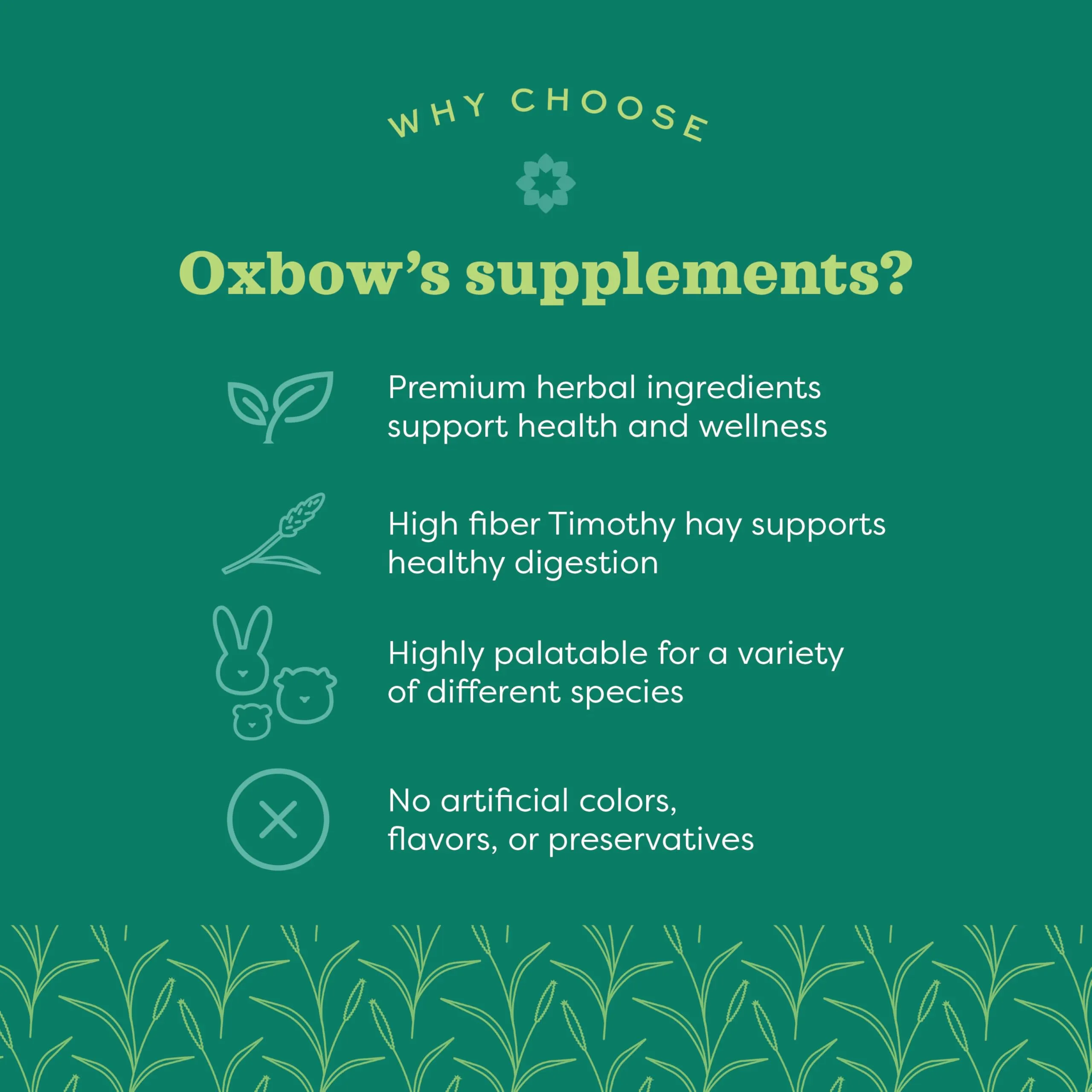 Oxbow Digestive Support 120 g - Integratore alimentare per l'apparato digerente di roditori e iguana - immagine 3