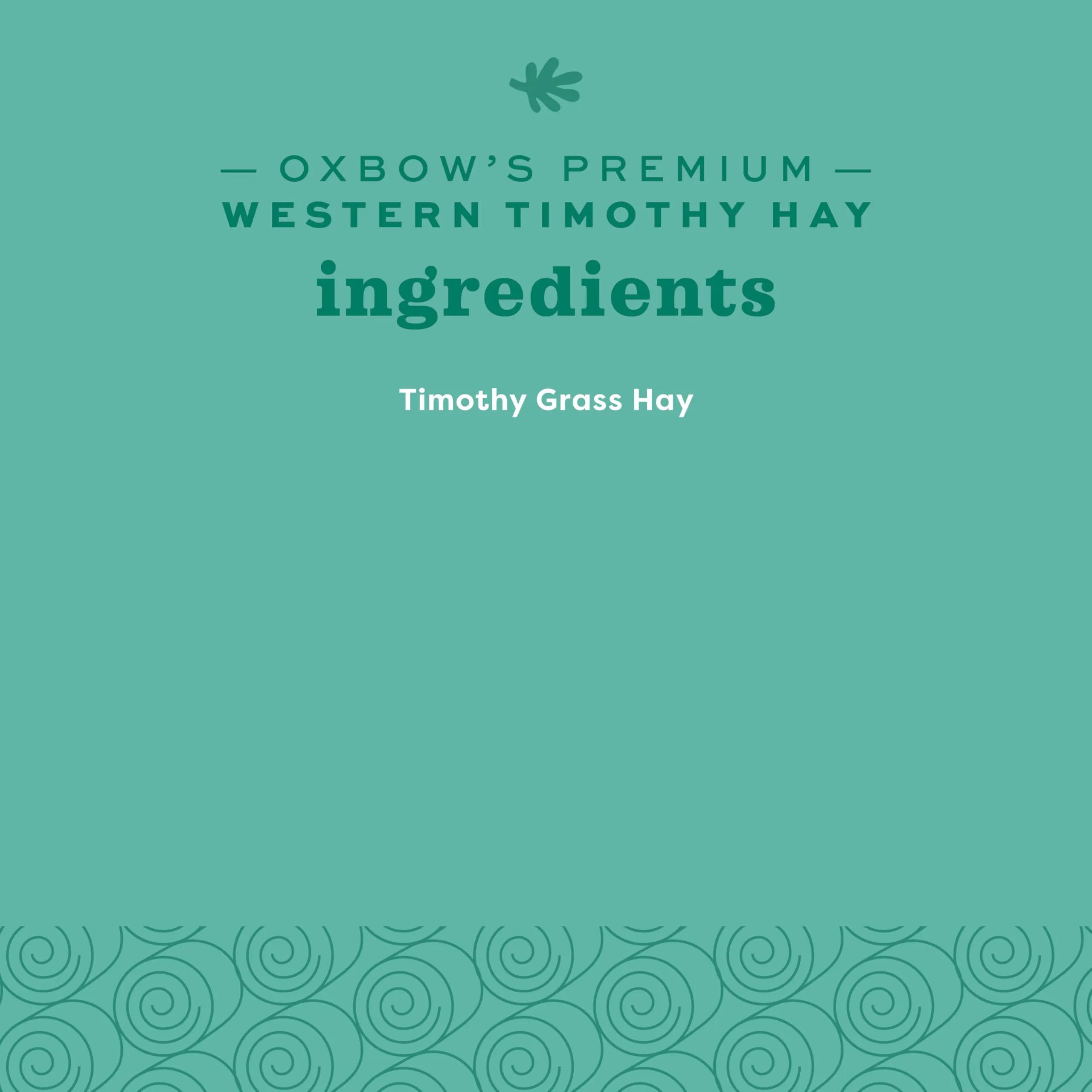 Oxbow Western Timothy Hay 1.13 kg - immagine 10