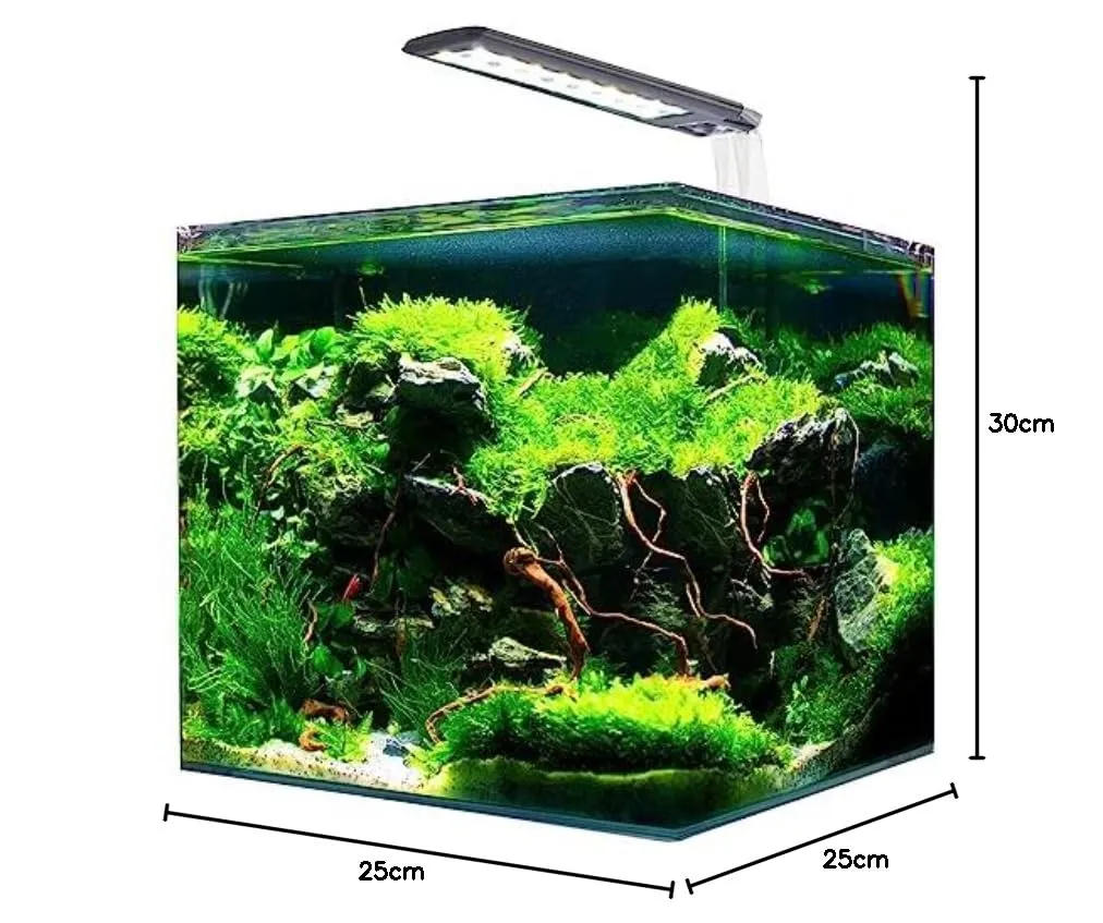 Amtra Nanotank System 20 - Acquario in vetro con luce LED e filtro, 25x25x30 cm, 18 Litri - immagine 7