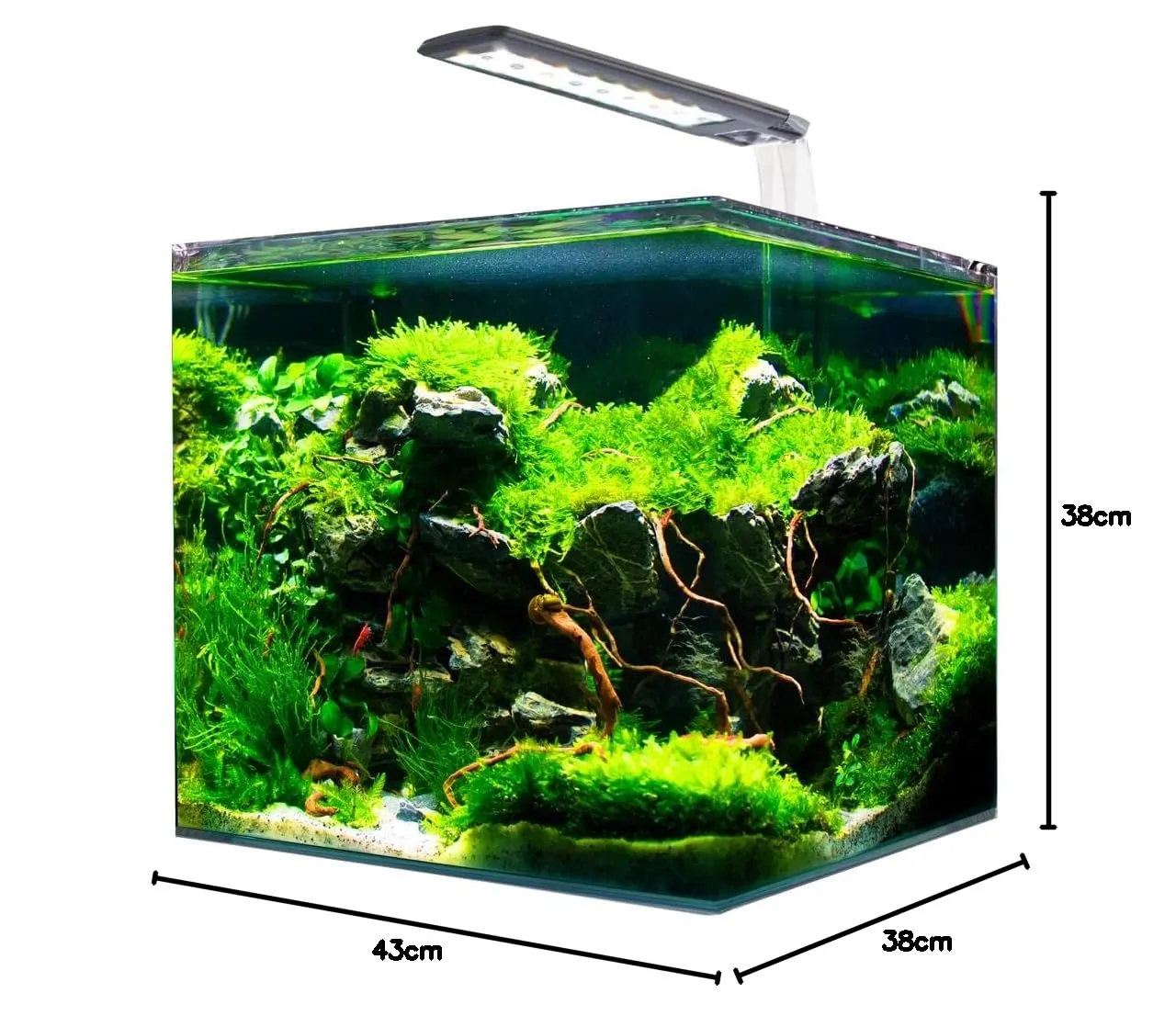 Amtra Nanotank System 60 Glass Aquarium with LED Light and Filter, 38x38x43 cm, 60 Liters - immagine 7