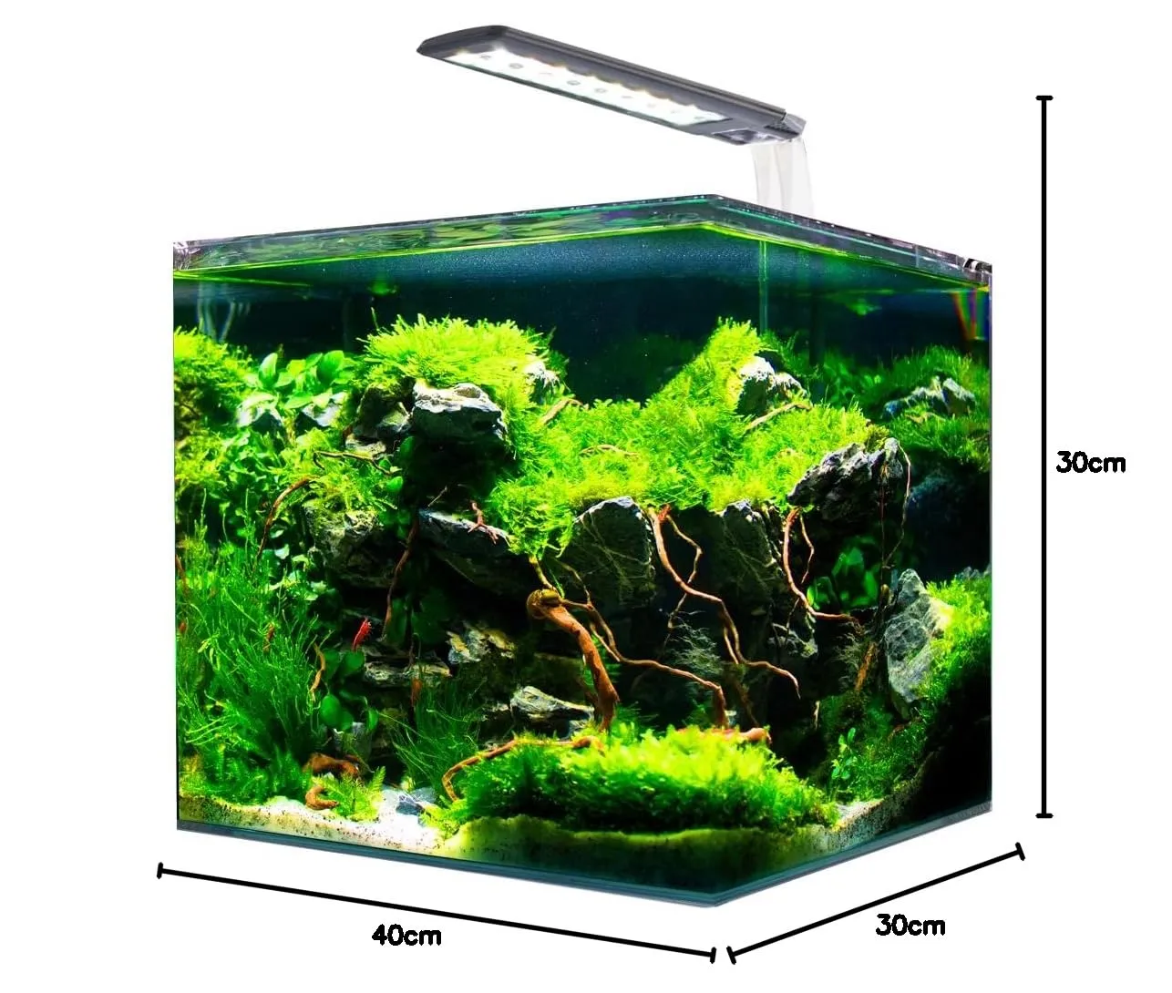 Amtra Nanotank System 36 Glass Aquarium with LED Light, Filter and Mat, 40x30x30cm, 36L - immagine 7
