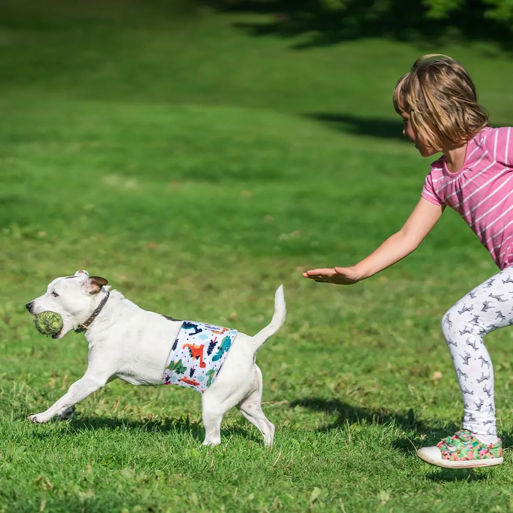MICOOYO Pannolini Riutilizzabili per Cani Maschi, Fasce Addominali Lavabili, Taglia S, Animali con Frutta, Confezione da 3 - immagine 5