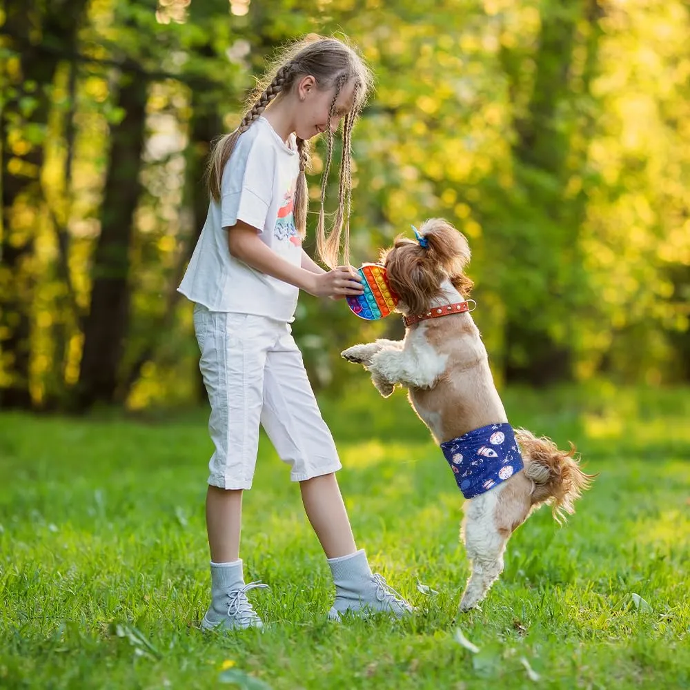 MICOOYO Fasce per pancia per cani maschi, pannolini riutilizzabili e lavabili, confezione da 3, Small (S) - immagine 5