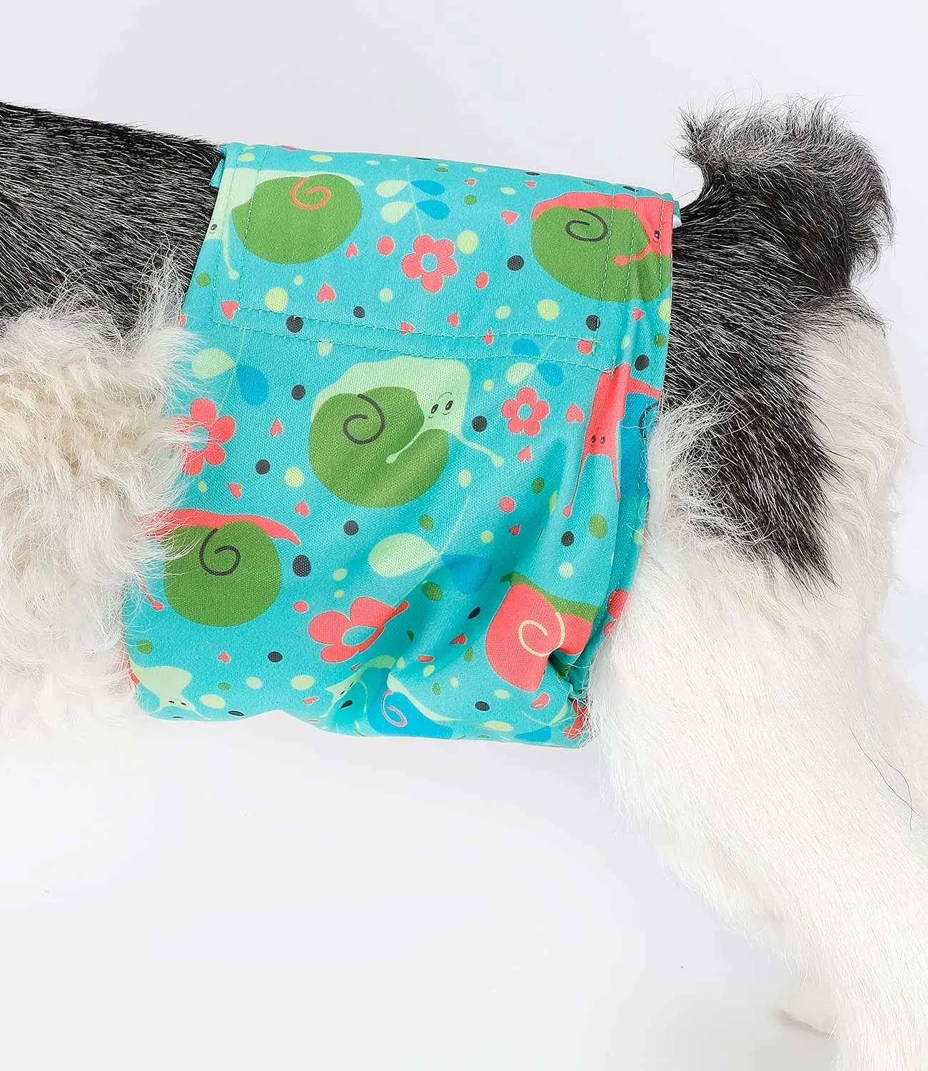 Micooyo Pannolini Riutilizzabili per Cani Maschi, Fasce Addominali Lavabili, Taglia XL, Confezione da 3 (Elefanti, Lumache, Uccelli) - immagine 3