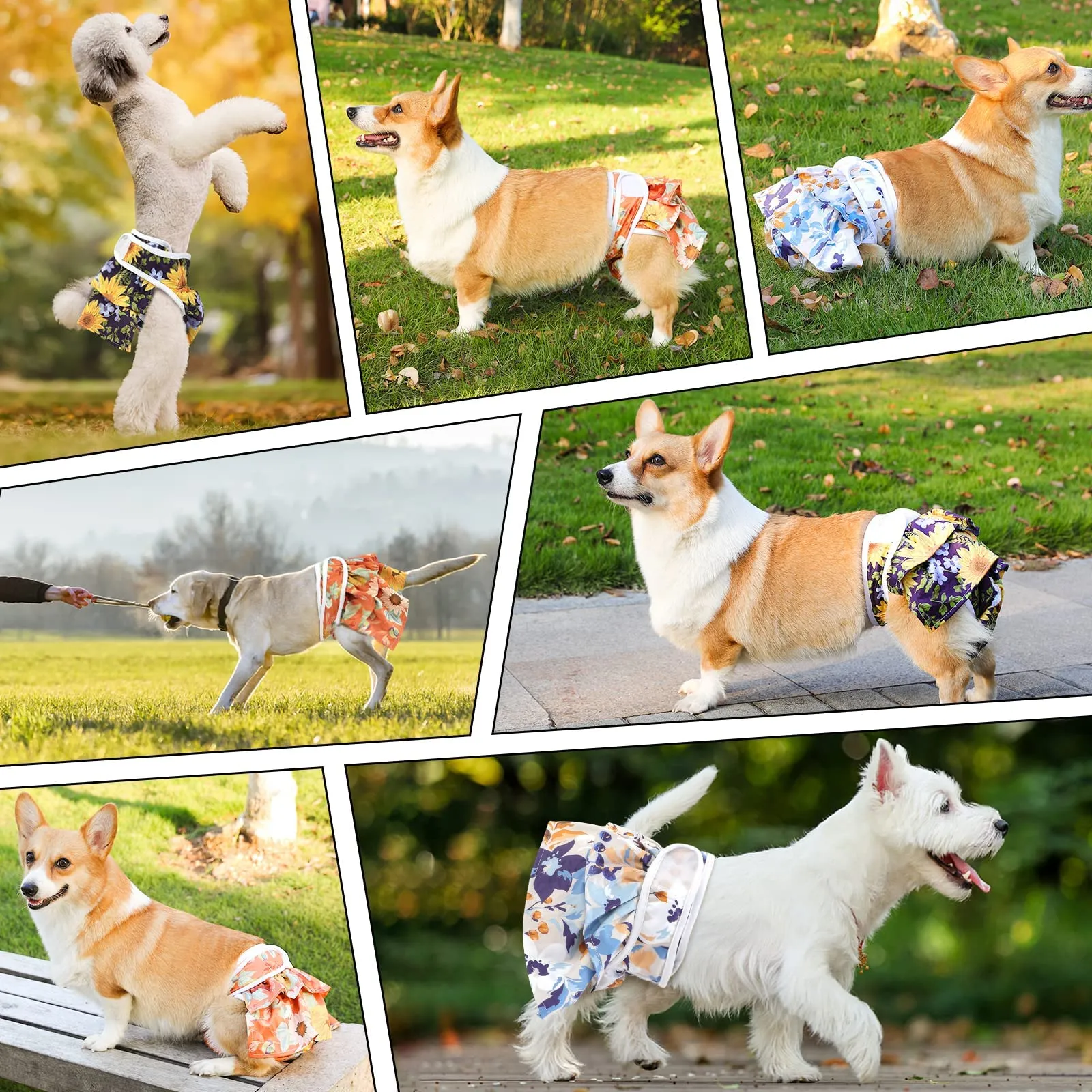 COMSLE Pannolini per Cani Femmina Lavabili e Riutilizzabili, XS, Pack di 3 pezzi, Fiore di sole - immagine 5