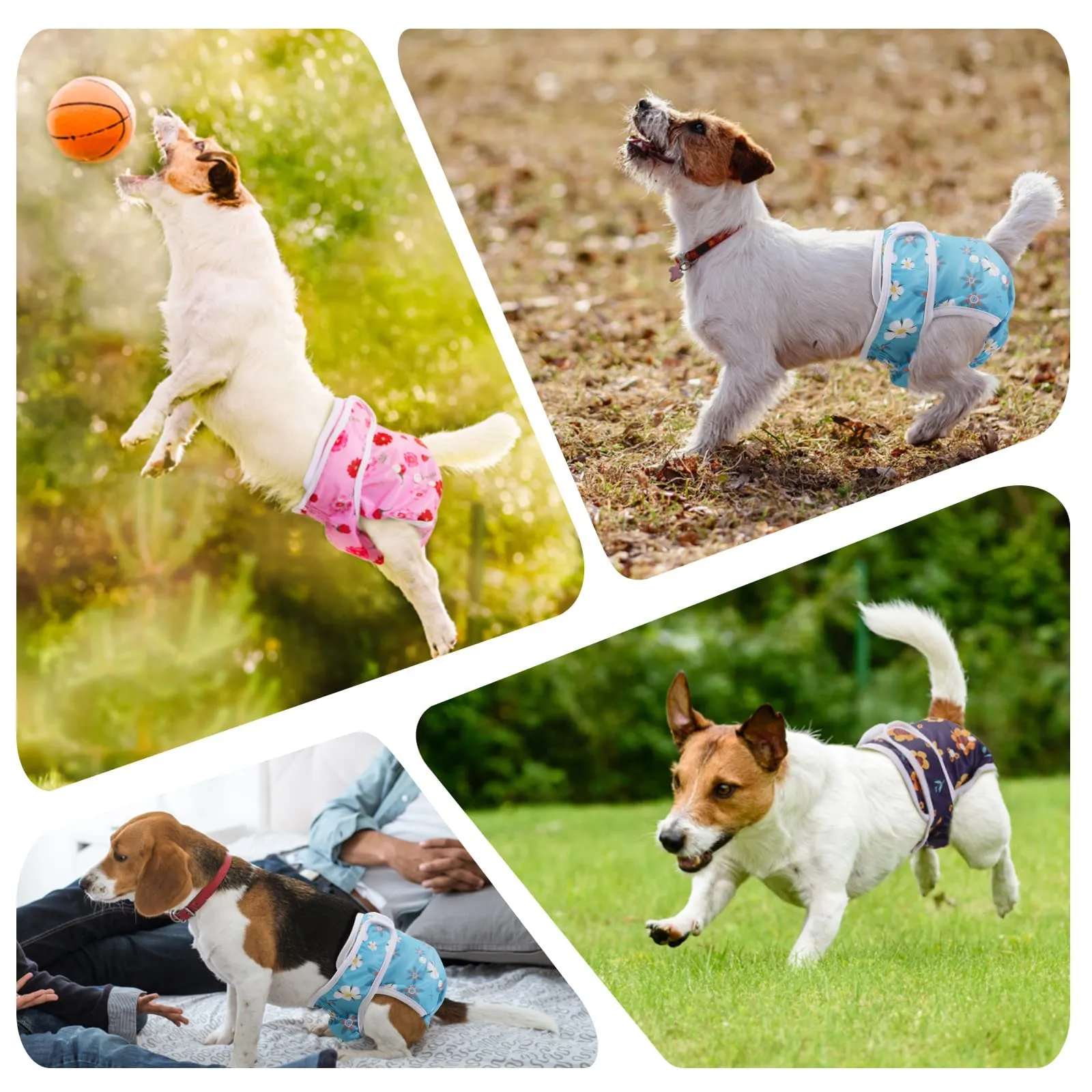 COMSLE Pannolini Lavabili e Riutilizzabili per Cani Femmina, Taglia M, Pack di 3 pezzi, Fiore carino - immagine 7