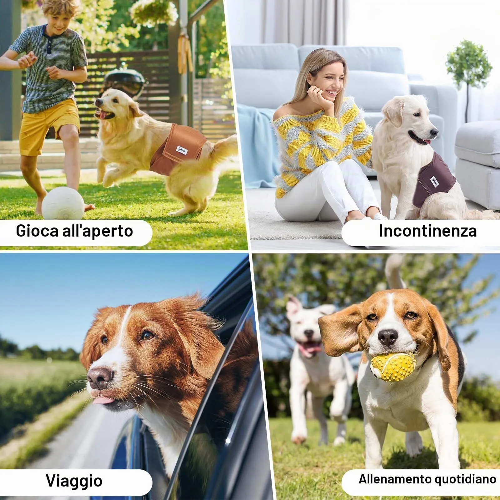 VUNCESSIN Corbette Lavabili per Cane Maschio, Taglia M, Pacchetto da 3 - immagine 7