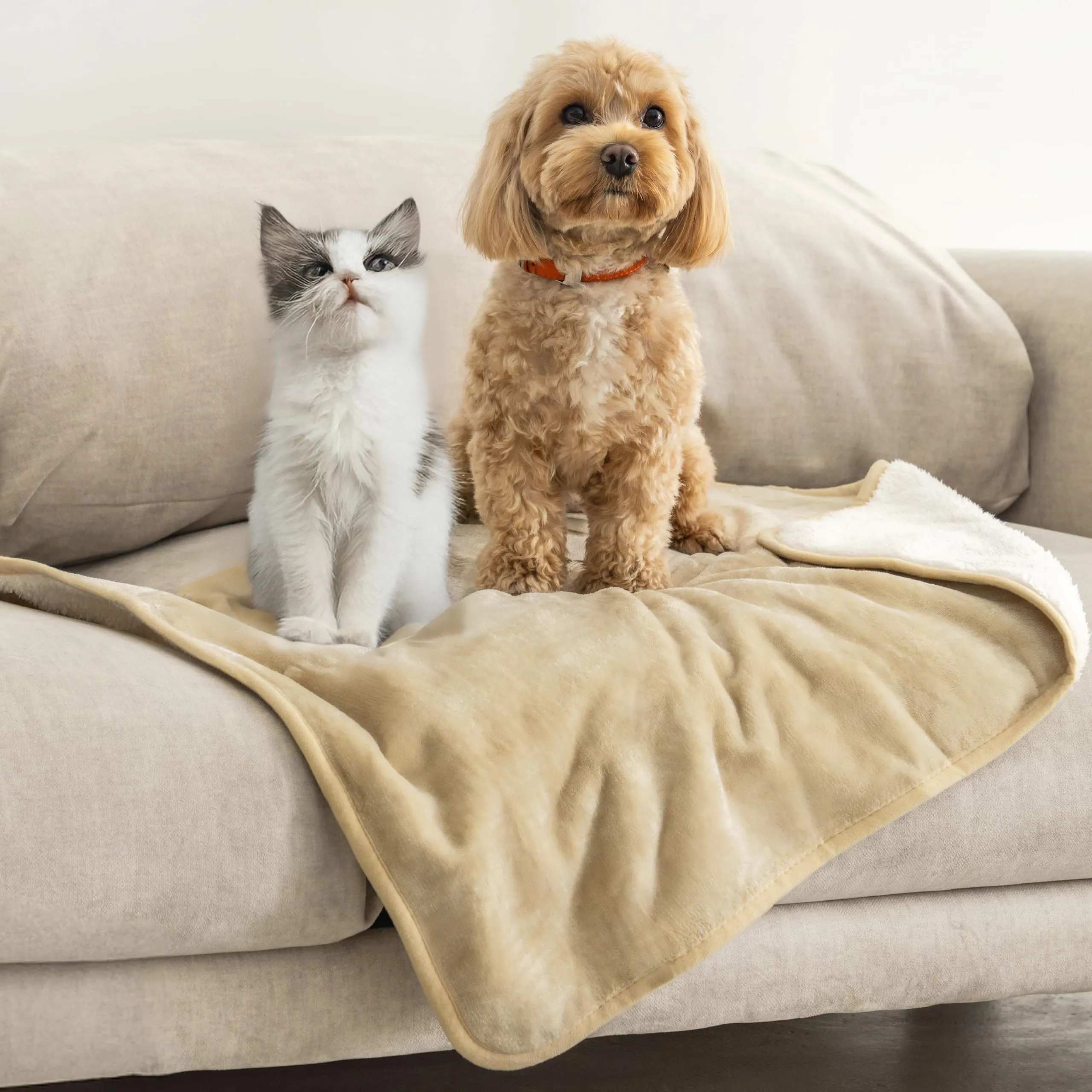 Dreamzie Coperta Impermeabile per Cani, 63x88 cm, Beige - immagine 1