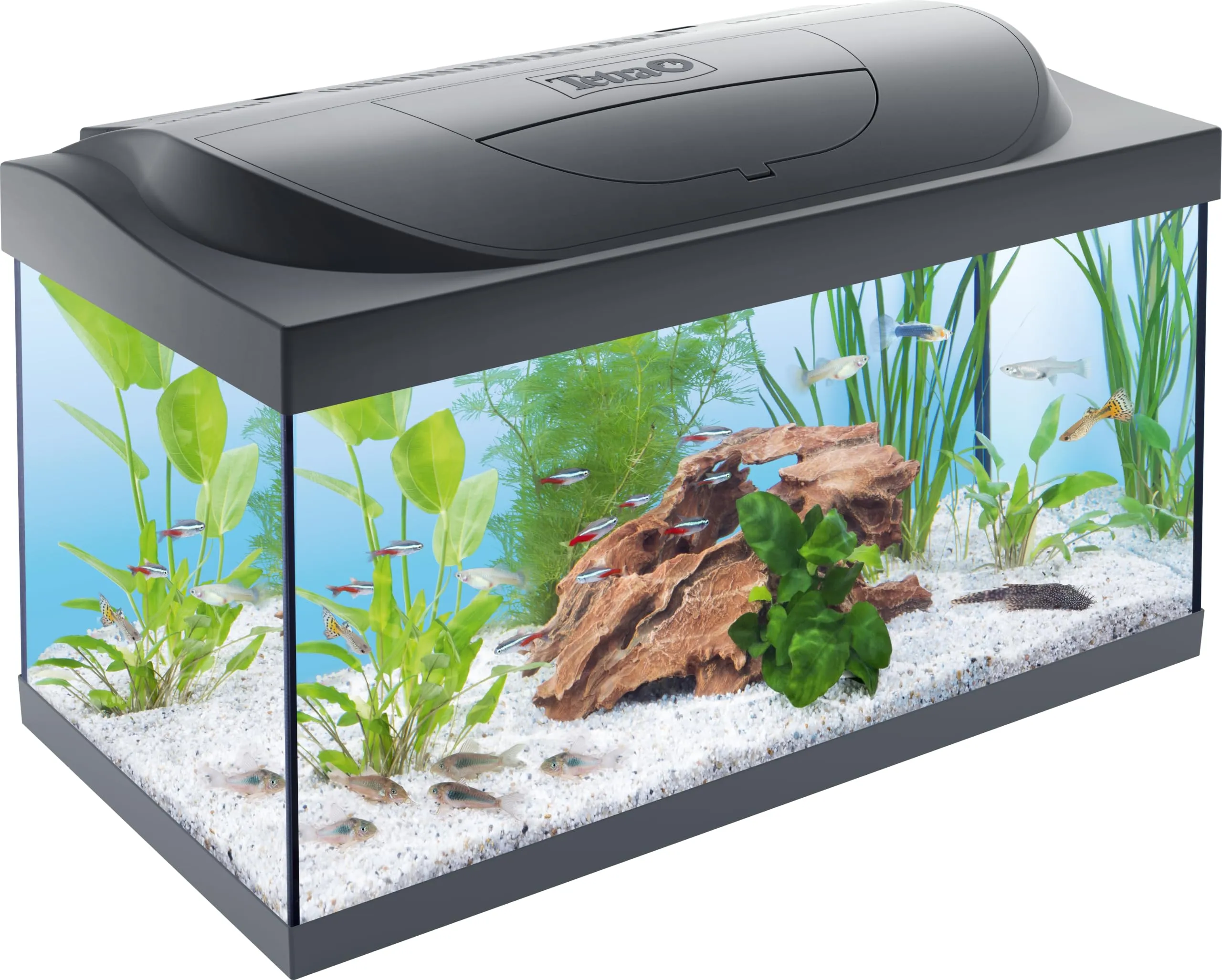 Tetra Starter Line 54 L Set Acquario con Illuminazione LED, Nero - immagine 1