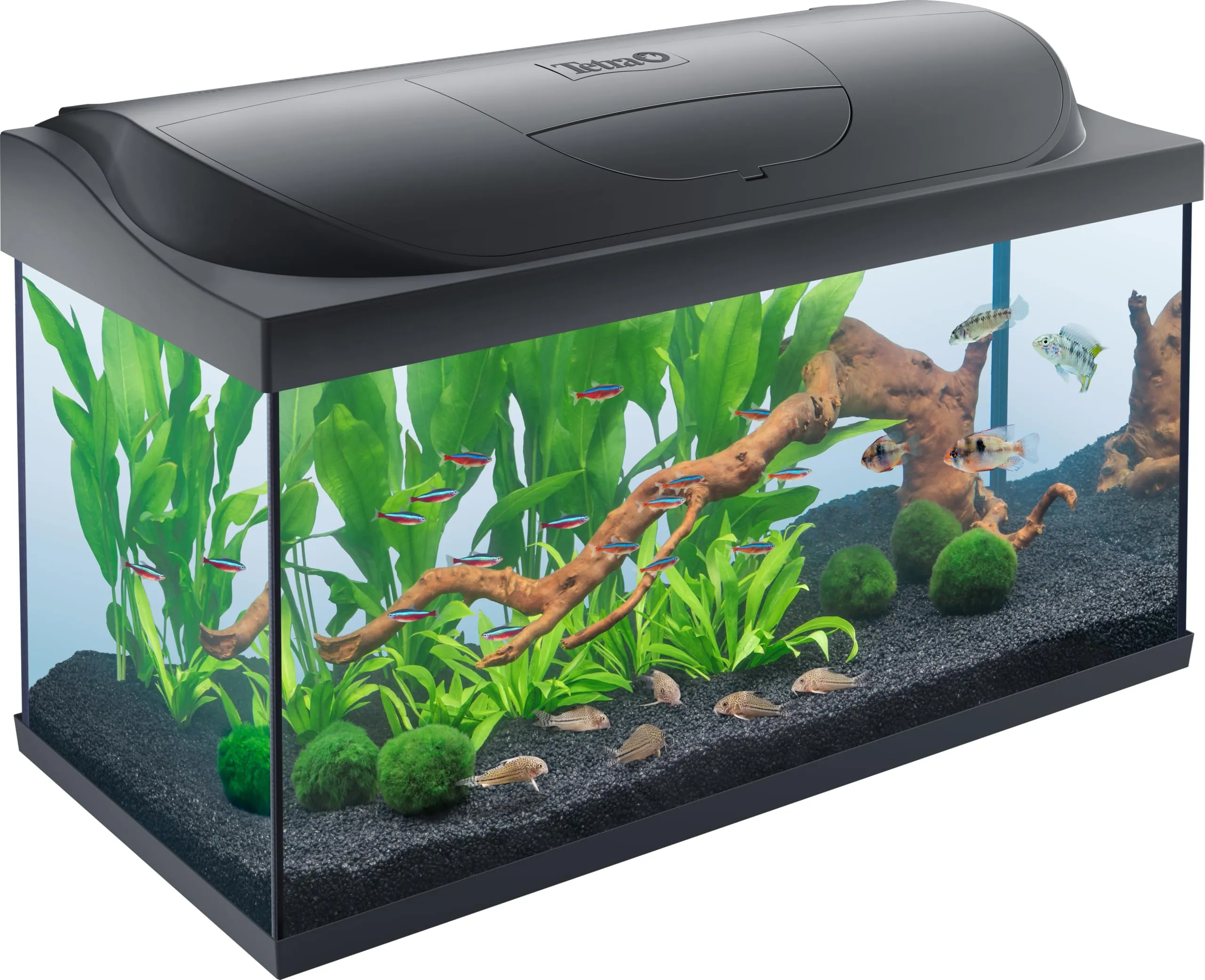 Tetra Starter Line 105 L Acquario Set con Illuminazione LED, Nero - immagine 1