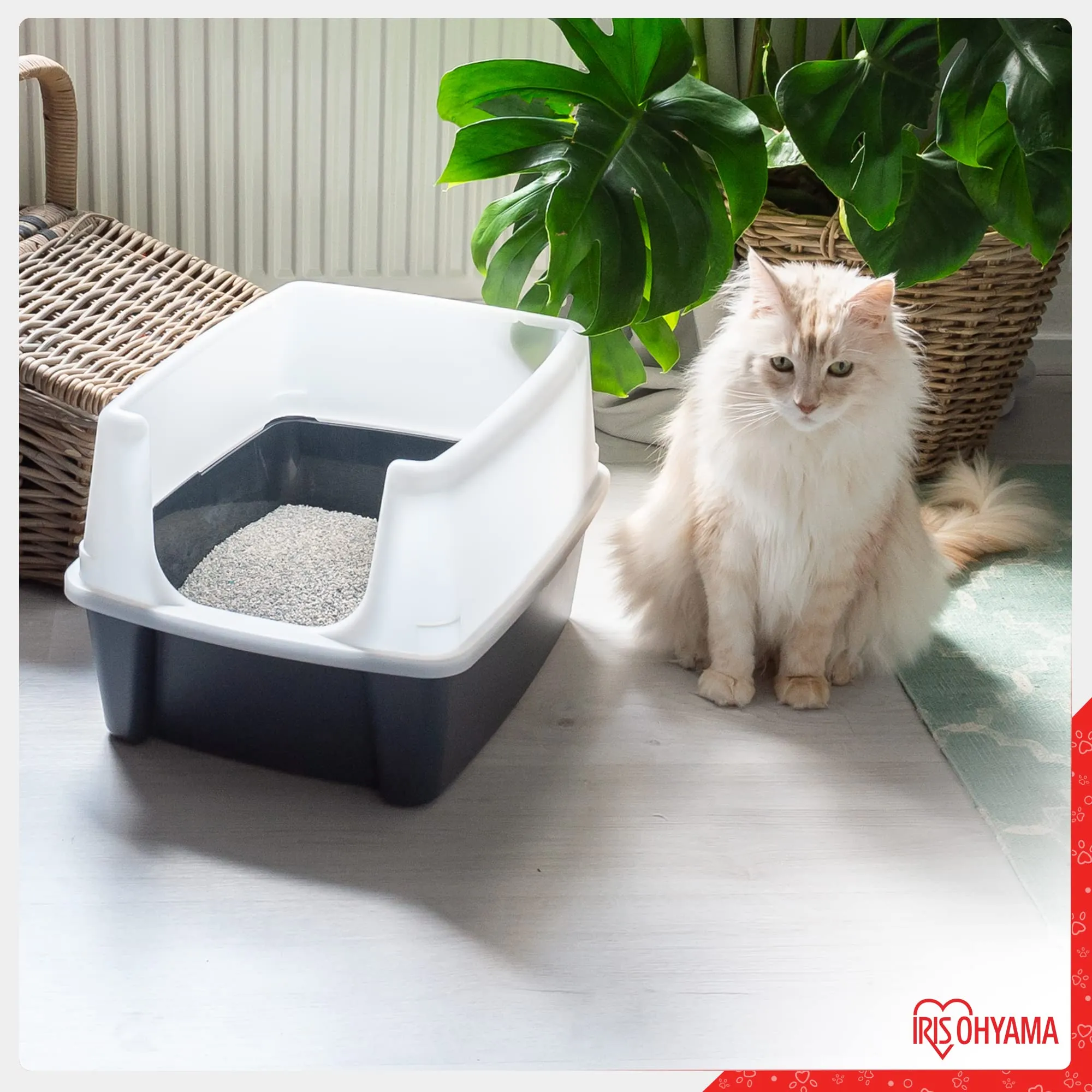 Iris Ohyama Lettiera per Gatti in Argilla Bentonite Naturale, KF8L, 2 sacchi da 8L, Non Profumata - immagine 2