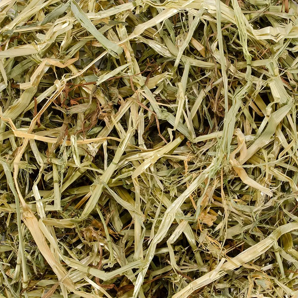 Oxbow Fieno d'avena, 425 g - immagine 2
