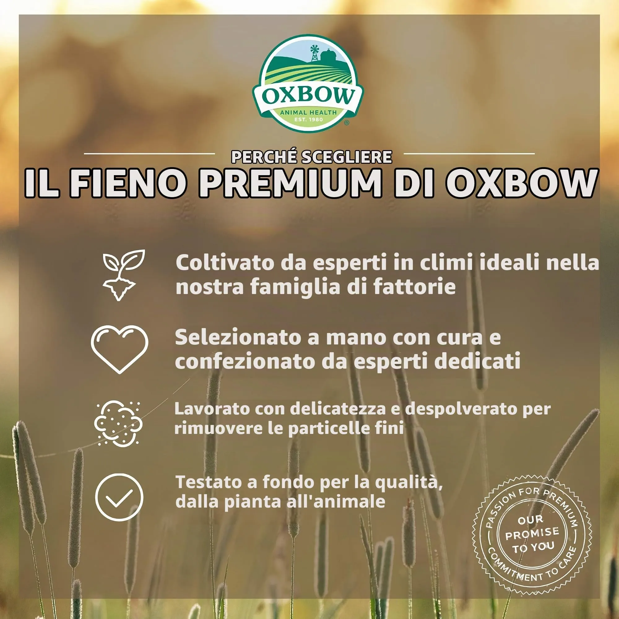Oxbow Fieno Western Timothy e Orchard Grass, 1,13 kg - immagine 4
