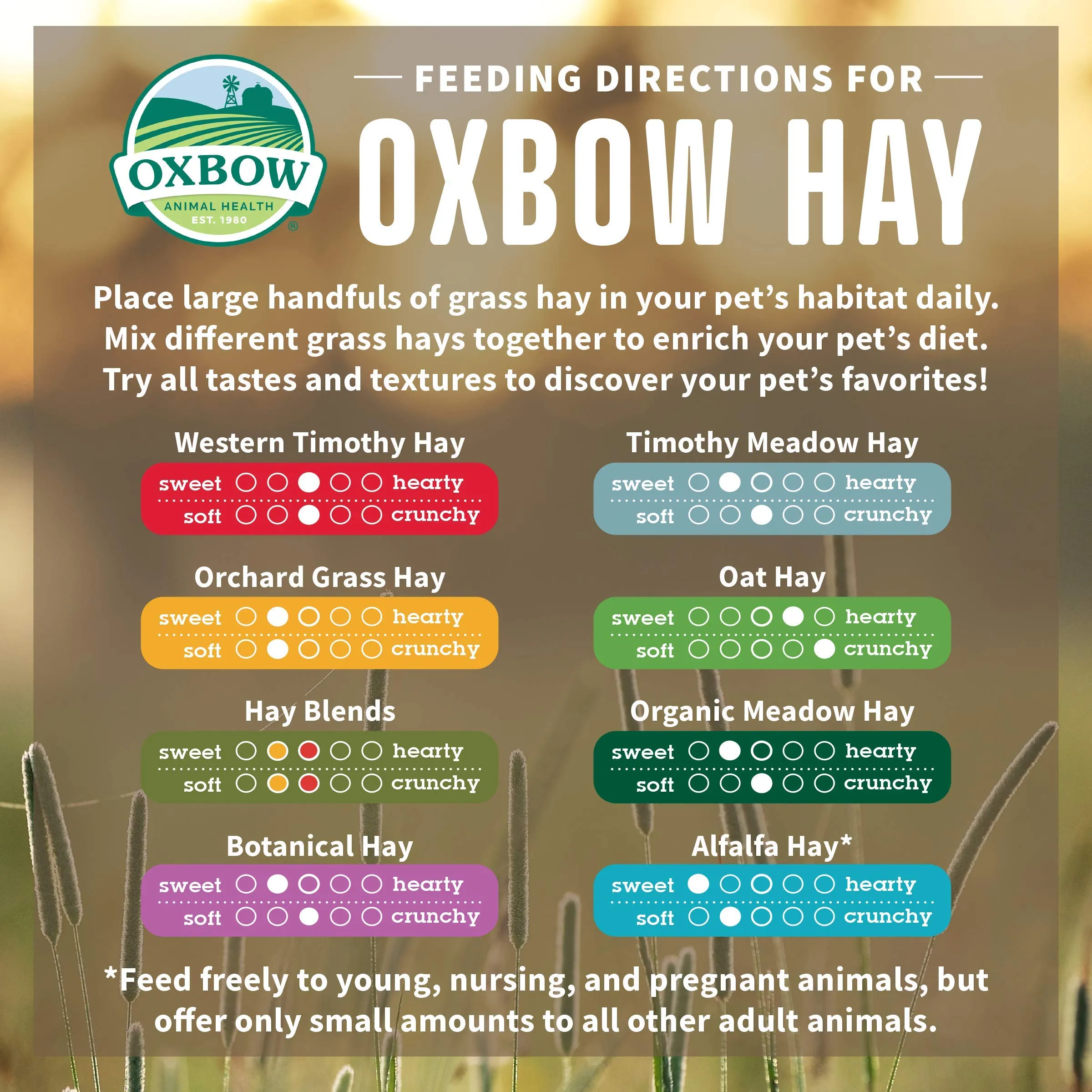Oxbow Fieno Western Timothy e Orchard Grass, 1,13 kg - immagine 5