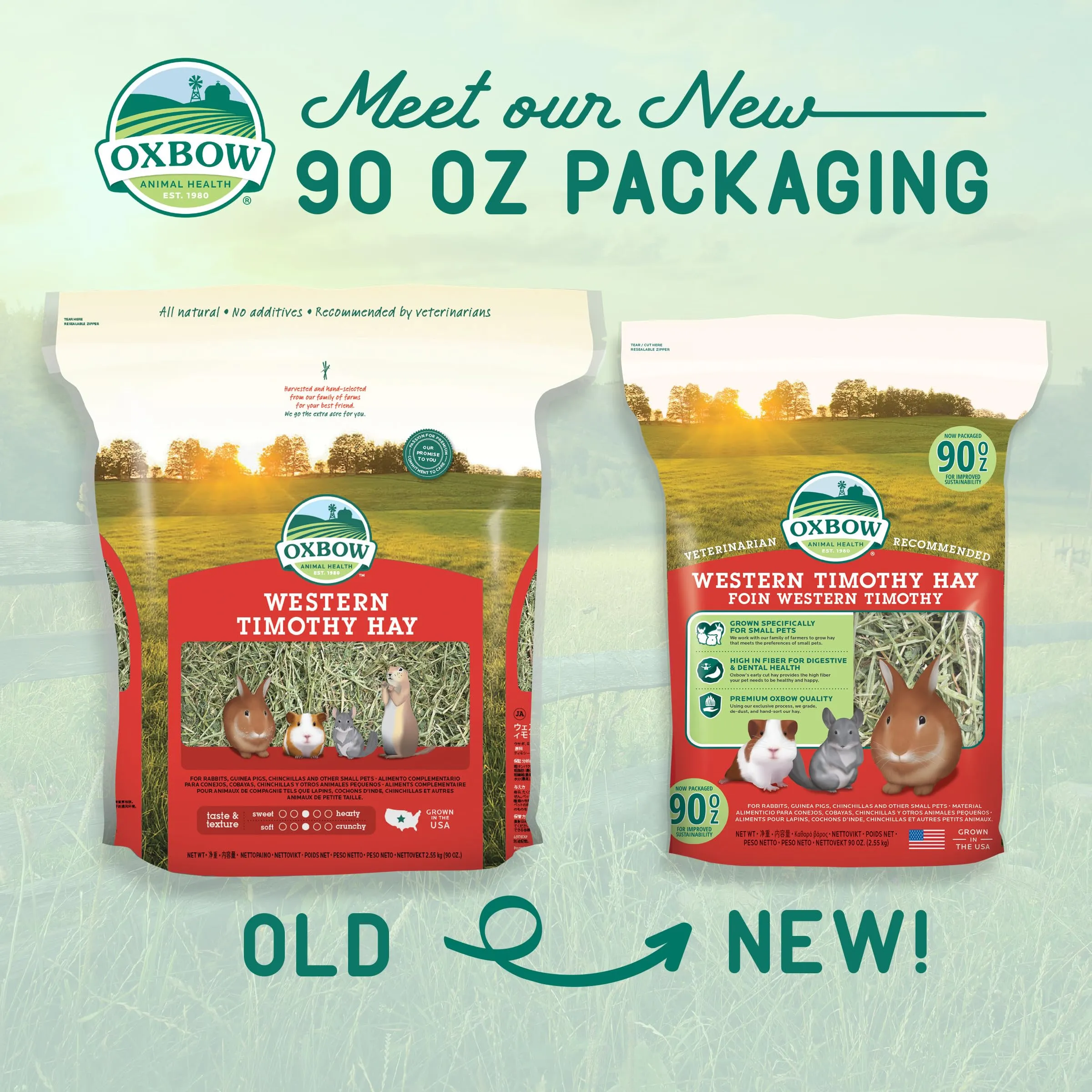 Oxbow Western Timothy Hay 2550g - immagine 7