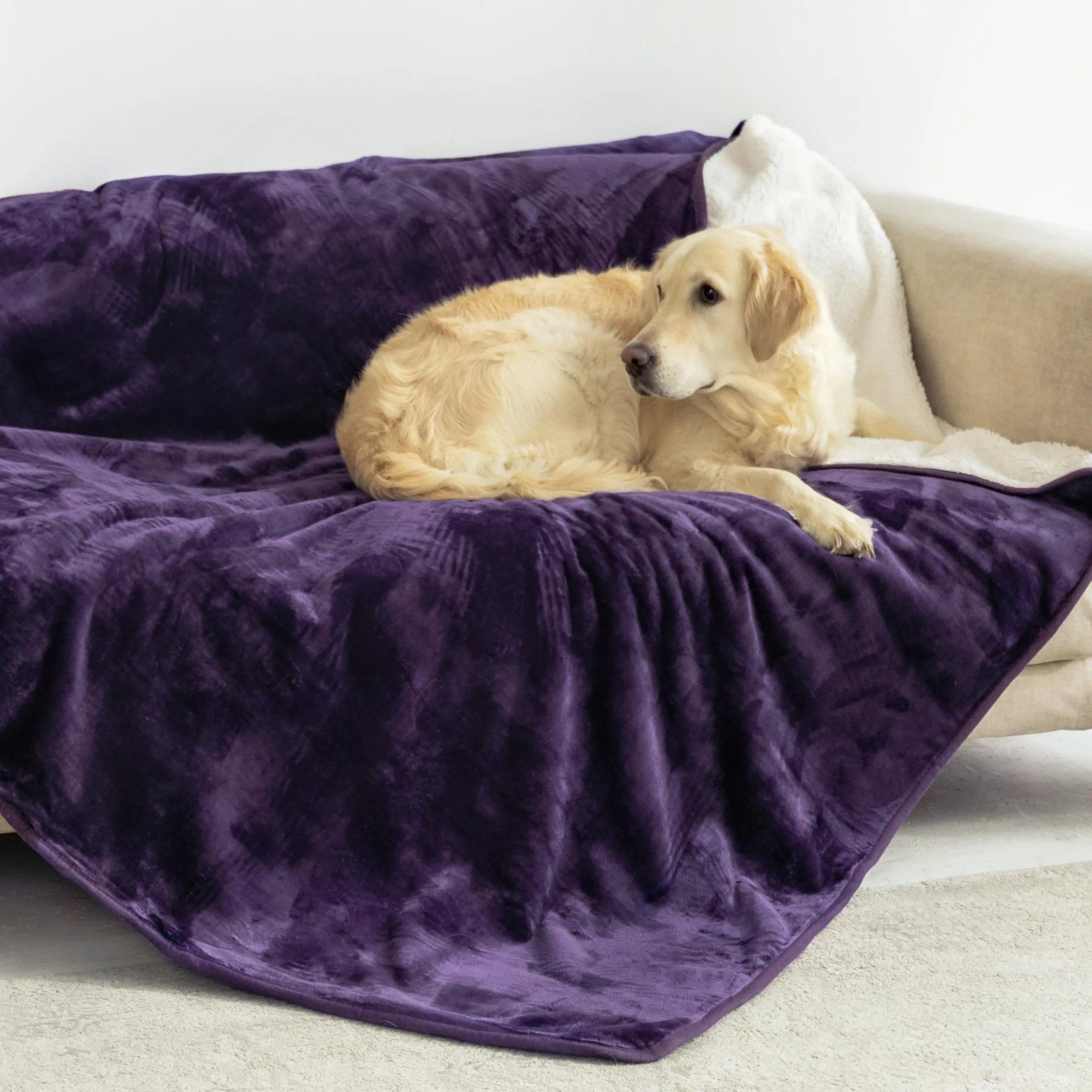 Dreamzie Coperta Impermeabile per Cani, 127x152 cm, Viola - immagine 1