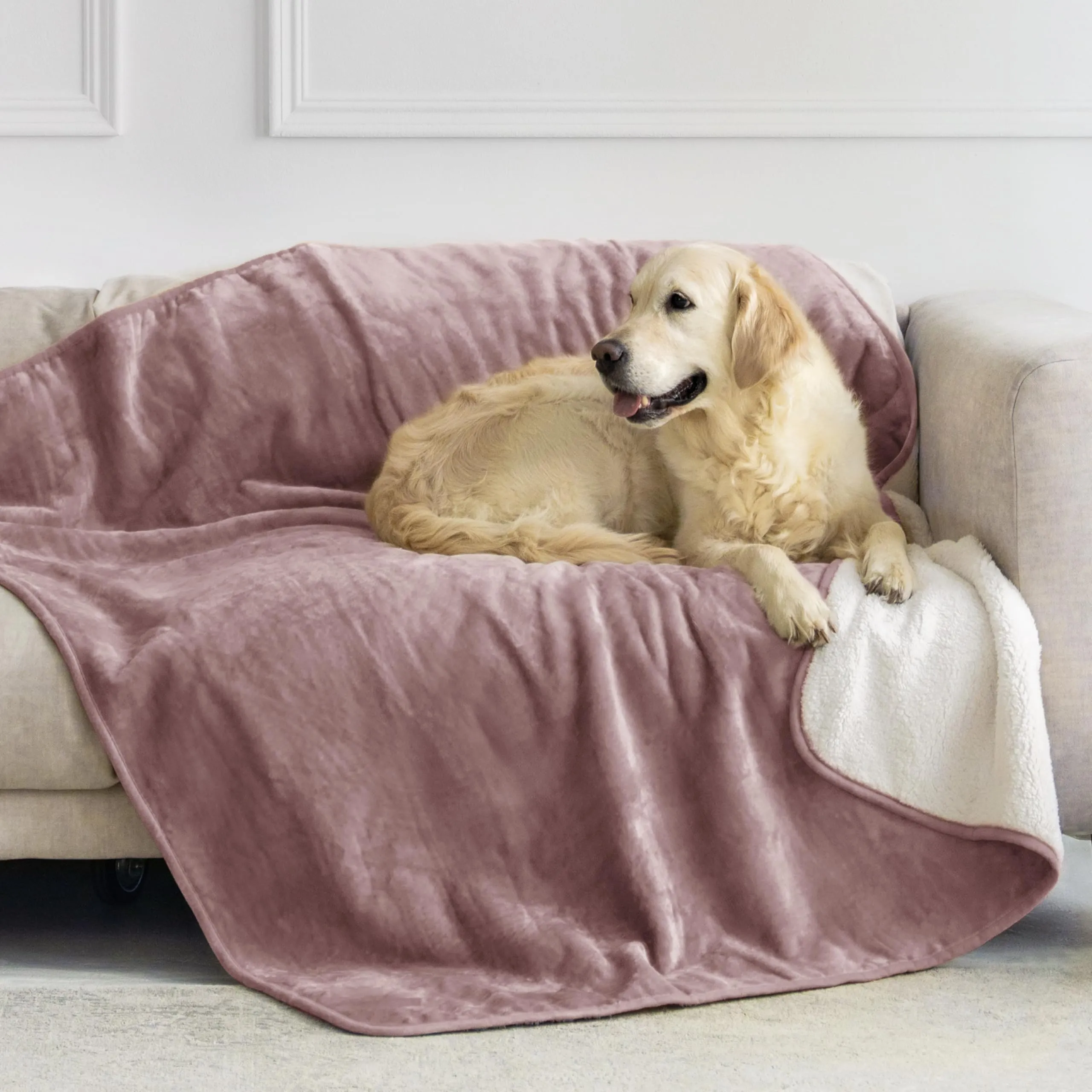 Dreamzie Coperta Impermeabile per Cani, 127x152 cm, Rosa Chiaro - immagine 1