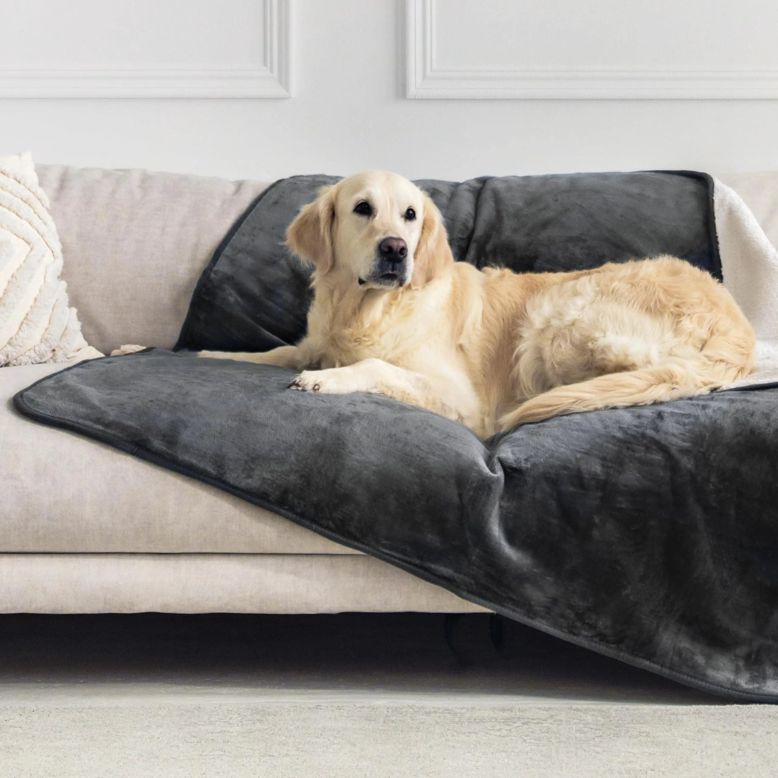 Dreamzie Coperta Impermeabile per Cani, 127x152 cm, Grigio Scuro - immagine 1
