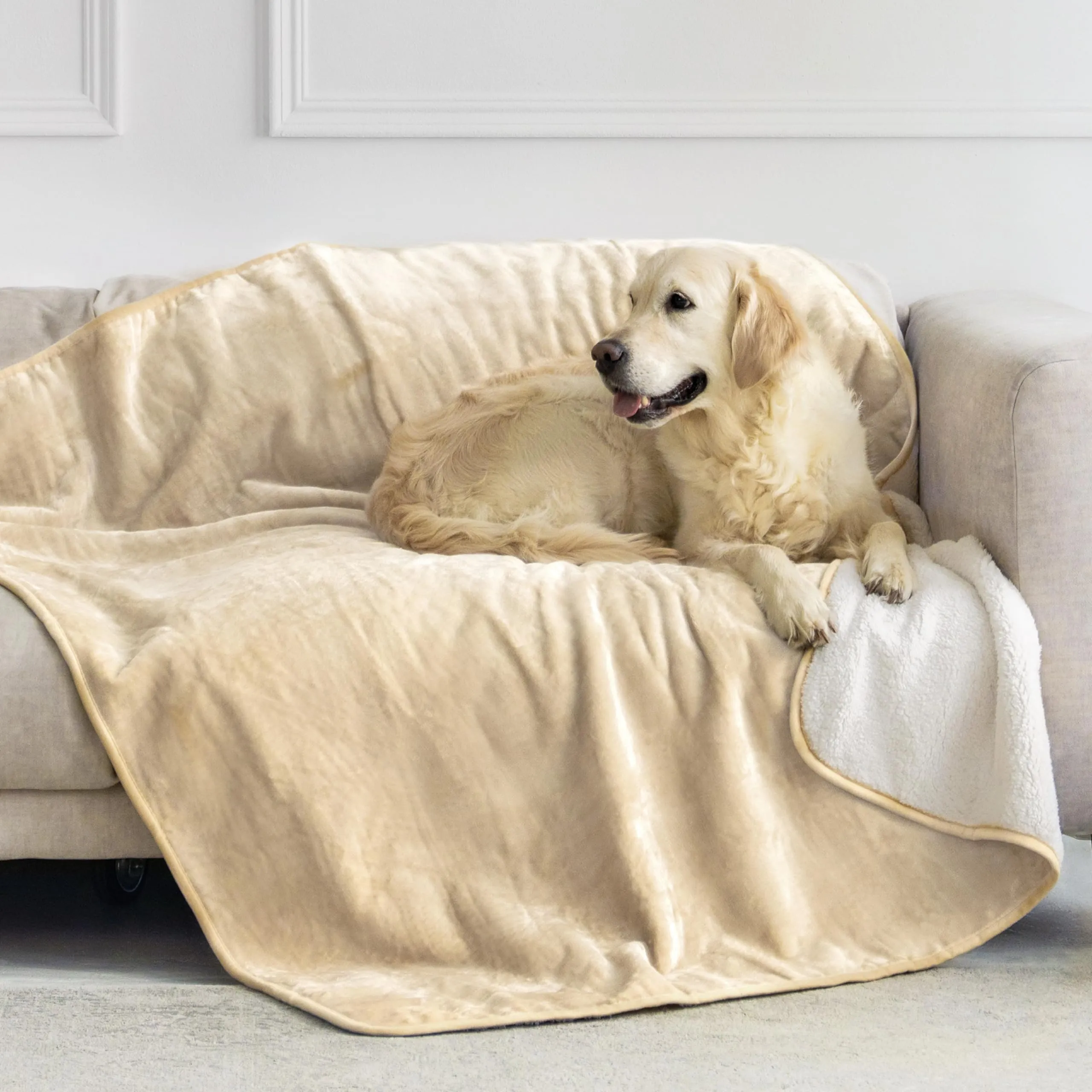 Dreamzie Coperta Impermeabile per Cani, 127x152 cm, Beige - immagine 1