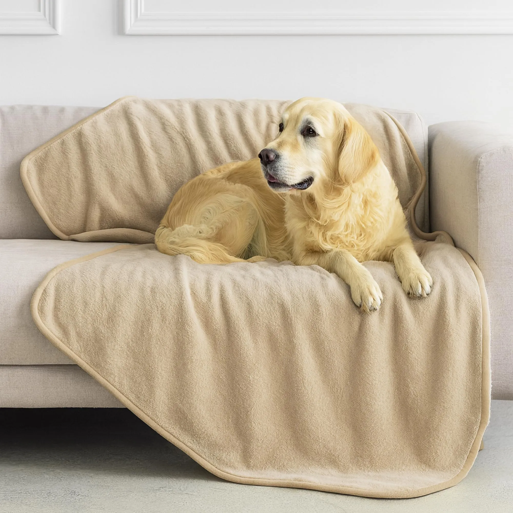 Dreamzie Coperta Impermeabile per Cani, 100x120 cm, Beige - immagine 1