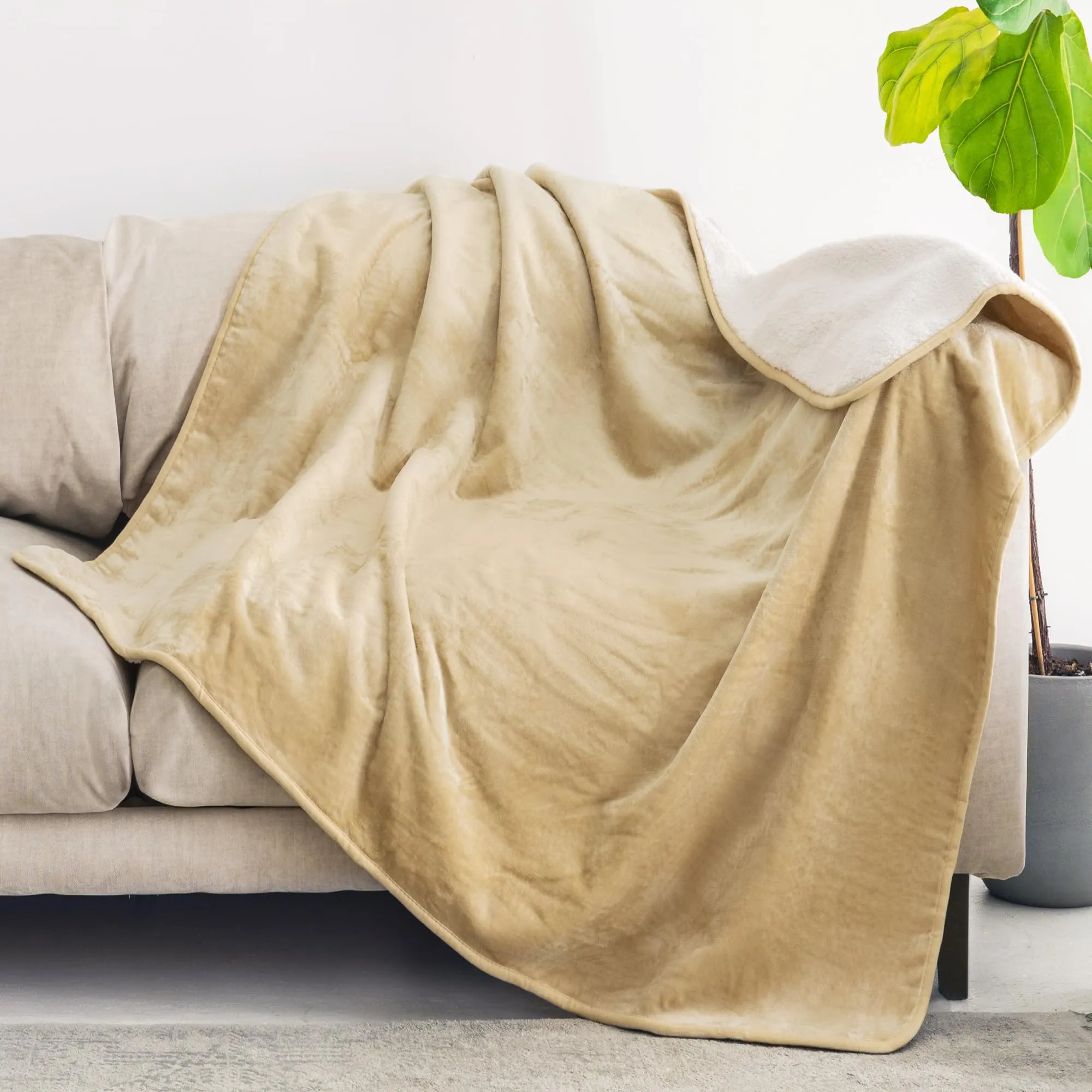 Dreamzie Coperta Impermeabile per Cani, 100x120 cm, Beige - immagine 3