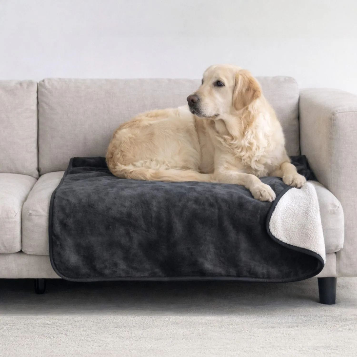 Dreamzie Coperta Impermeabile per Cani, 80x100 cm, Reversibile in Pile Sherpa, Grigio Scuro - immagine 1