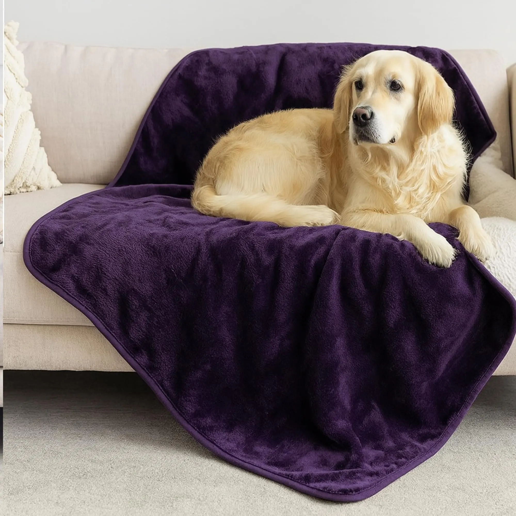Dreamzie Coperta Impermeabile per Cani, 100x120 cm, Nero - immagine 1