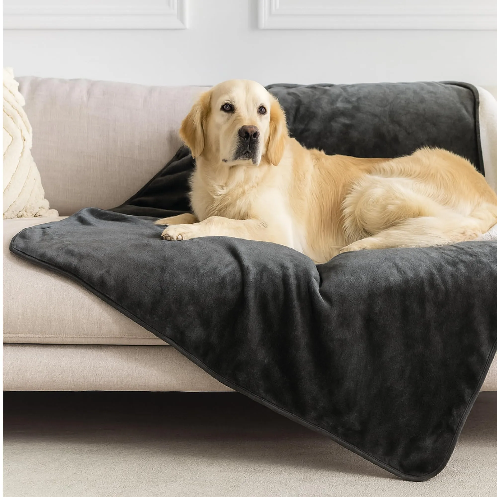 Dreamzie Coperta Impermeabile per Cani, 100x120 cm, Grigio Scuro - immagine 1