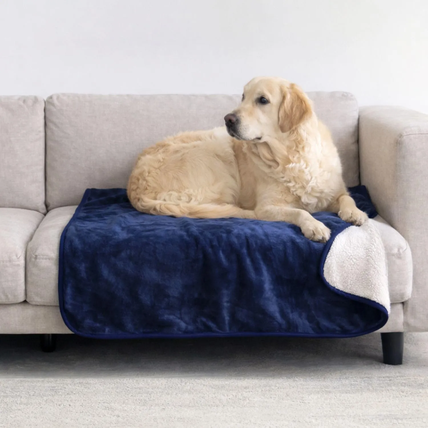 Dreamzie Coperta Impermeabile per Cani, 80x100 cm, Blu Navy - immagine 1