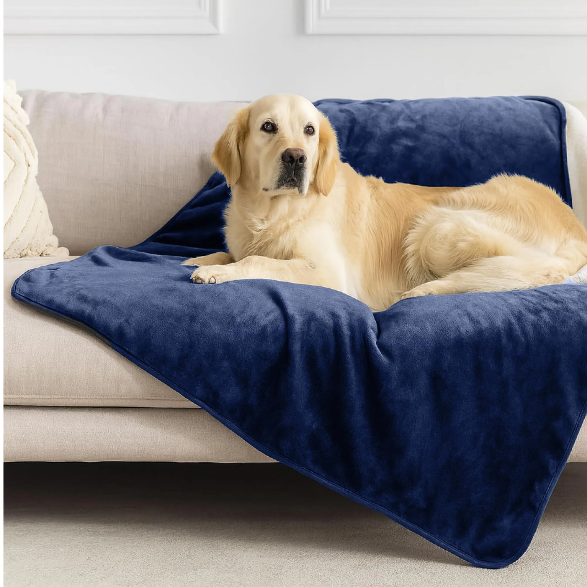 Dreamzie Coperta Impermeabile per Cani, 100x120 cm, Blu Navy - immagine 1