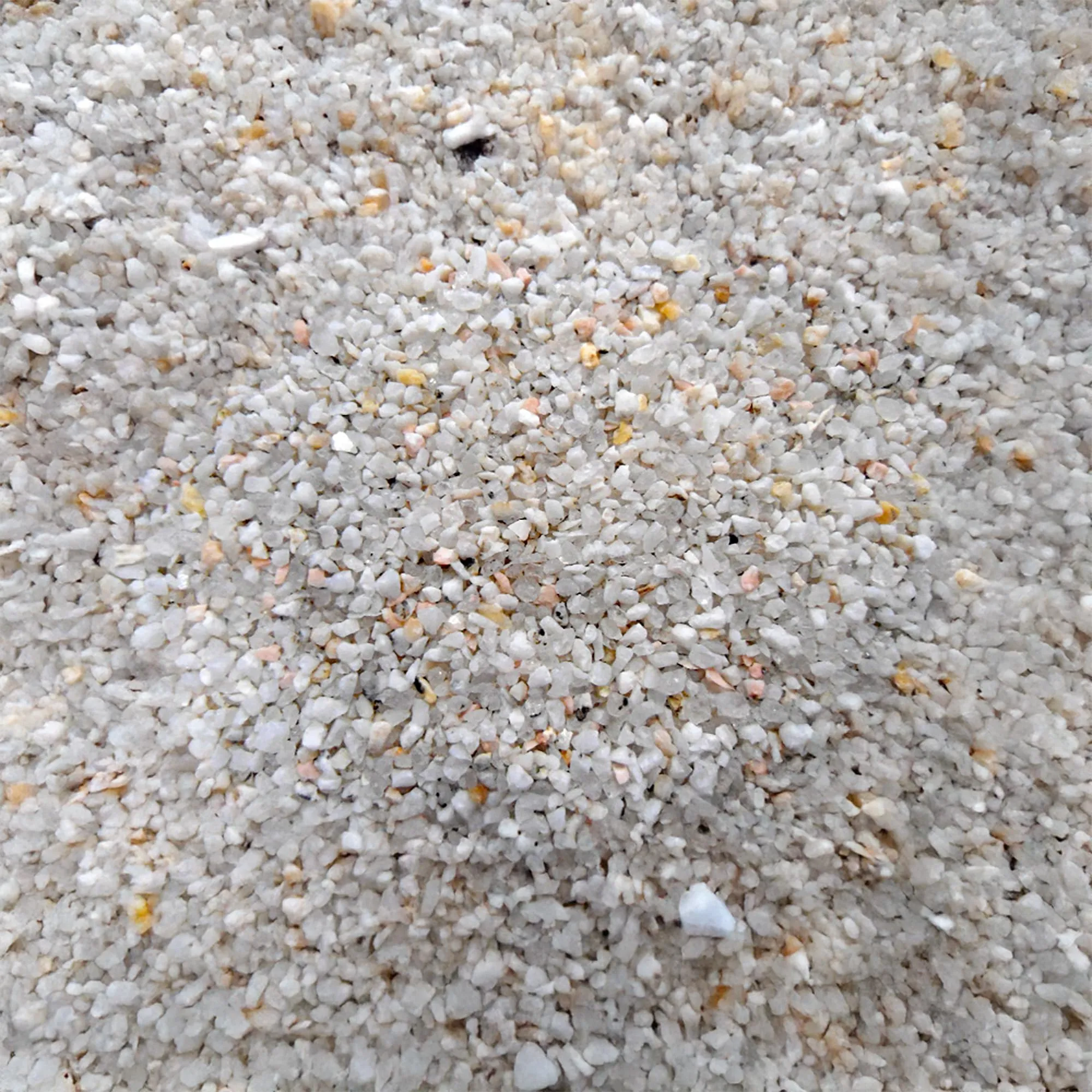 Croci Sandy Sabbia Igienica per Volatili, 5 kg - immagine 2
