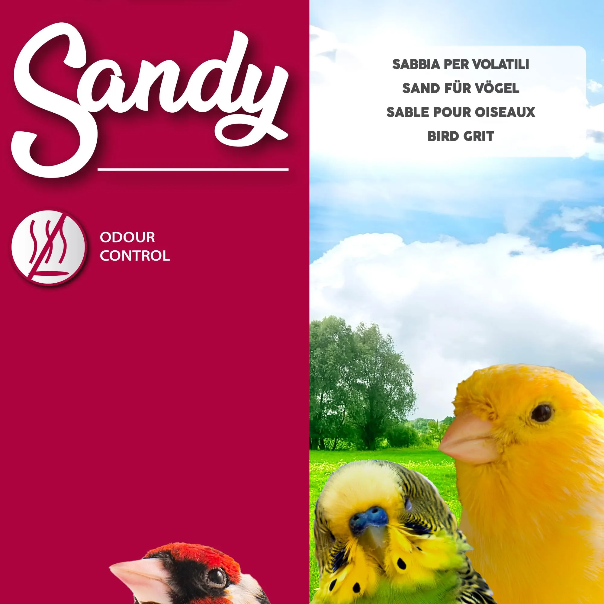 Croci Sandy Sabbia Igienica per Volatili, 5 kg - immagine 3