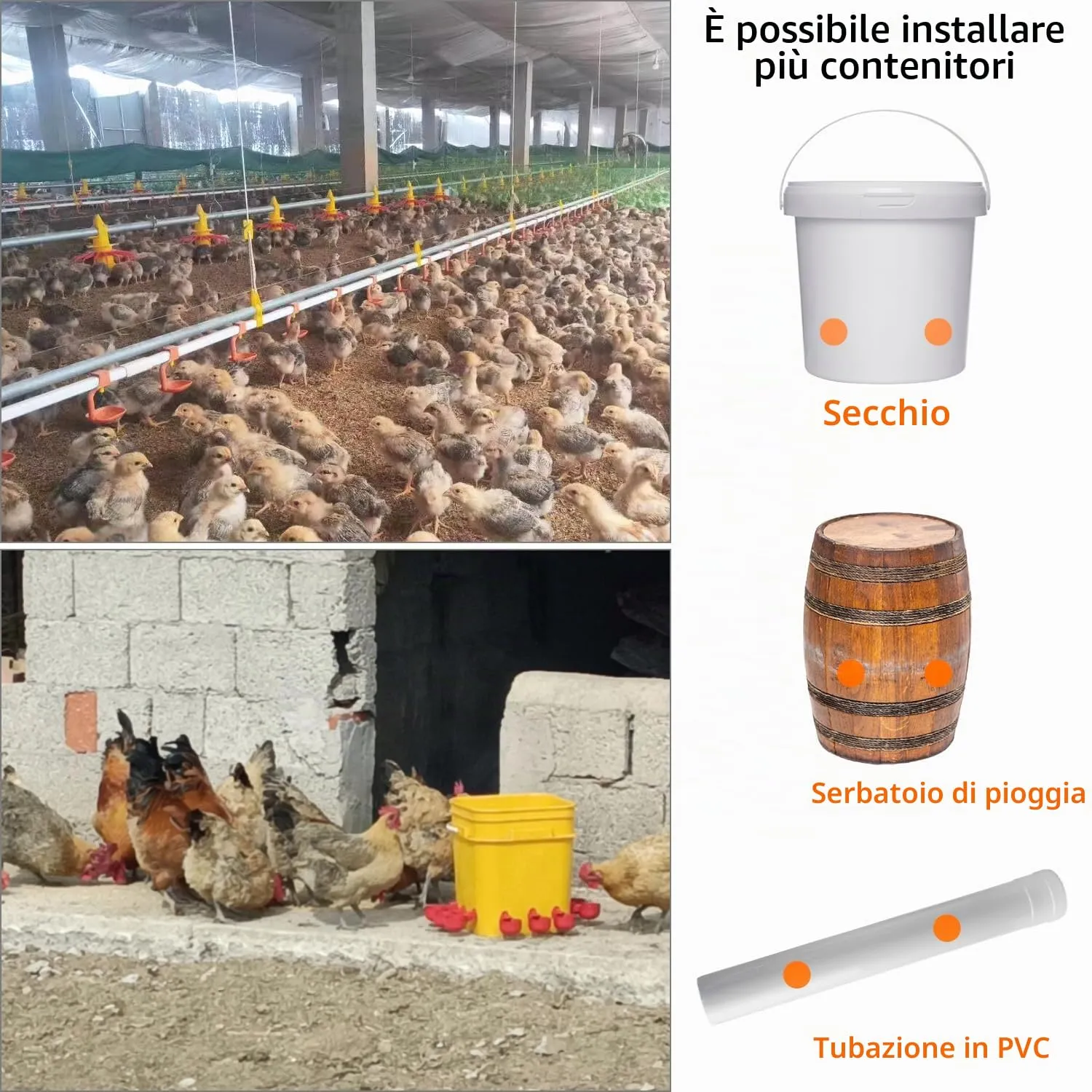 QWORK Beverini Automatici per Pollame, 16 Pezzi con Trapano Speciale, Plastica e Acciaio Inox - immagine 5