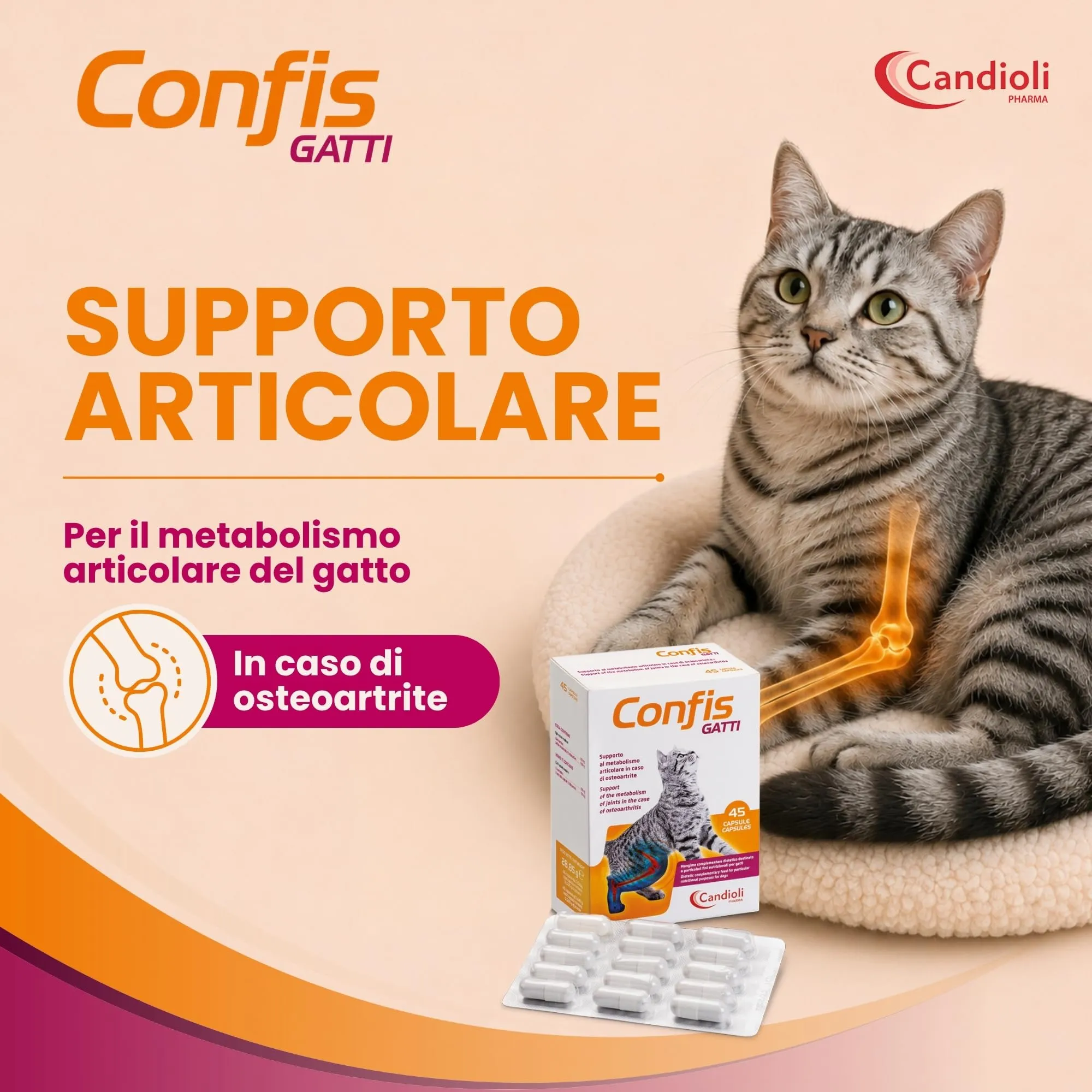 Candioli Confis Gatto per Articolazioni, 45 Capsule - immagine 2