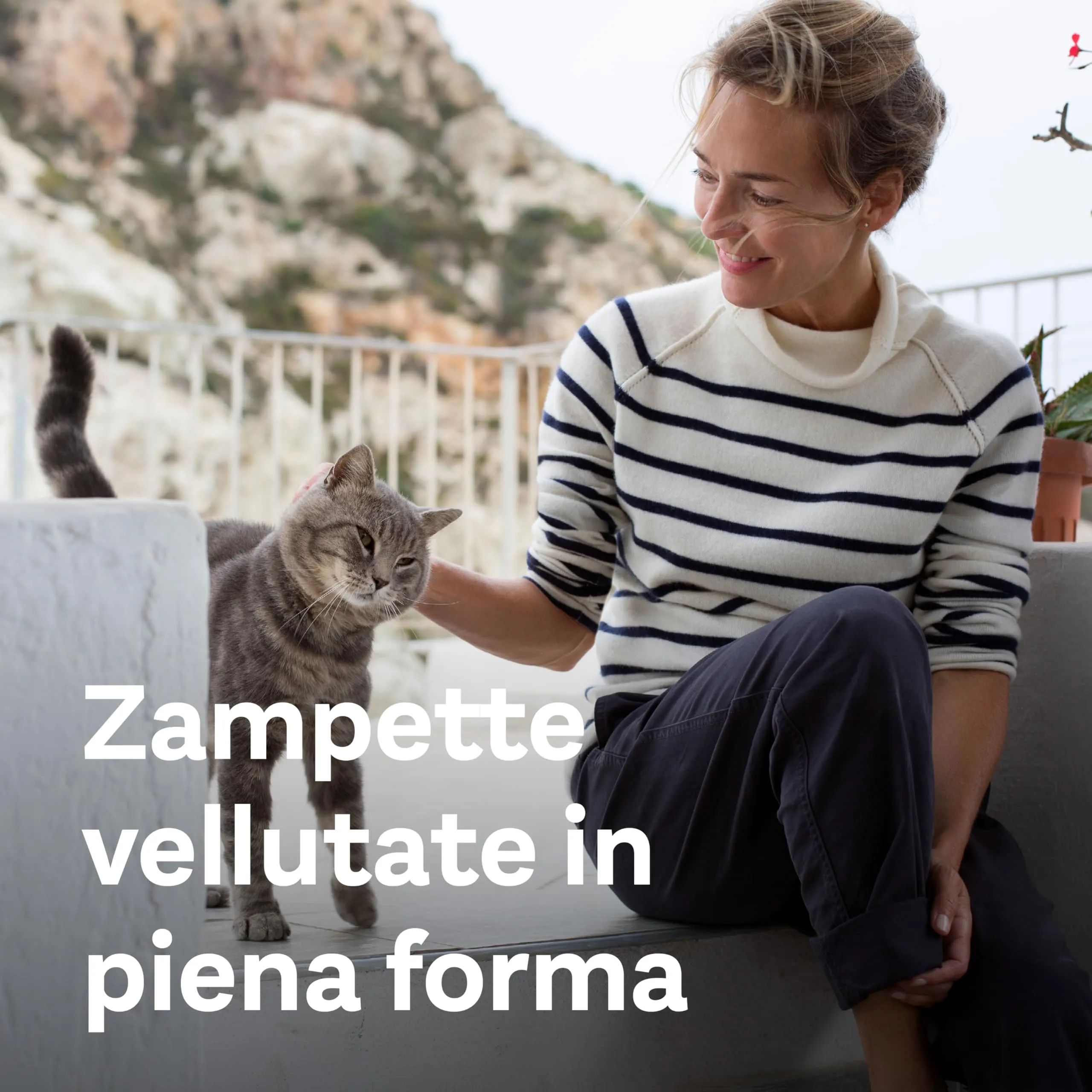 Doppelherz Complesso Articolazioni per Gatti, 25 Monoporzioni - immagine 4