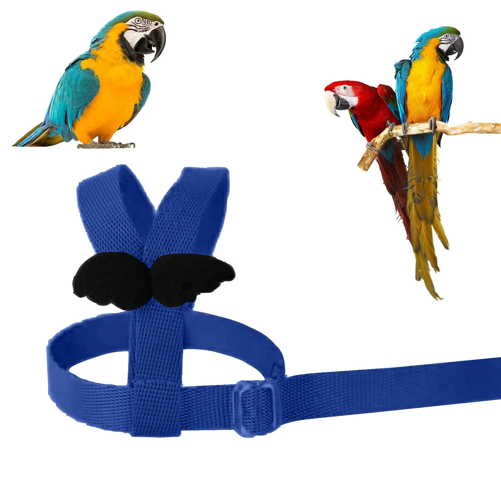 Winmany Imbracatura per Pappagallo Regolabile con Guinzaglio Elastico Anti-morso, Blu, Taglia L - immagine 3
