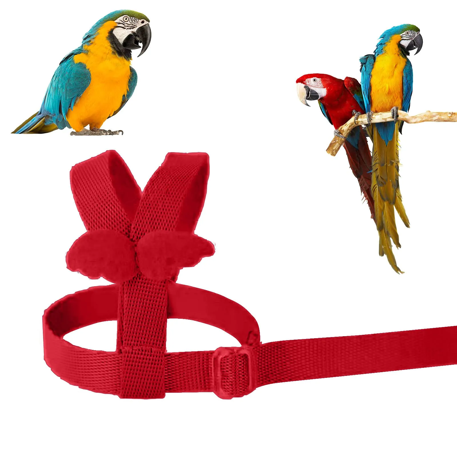Winmany Imbracatura Regolabile per Pappagallo e Uccelli con Guinzaglio Elastico Anti-Morso, Rosso, XS - immagine 3