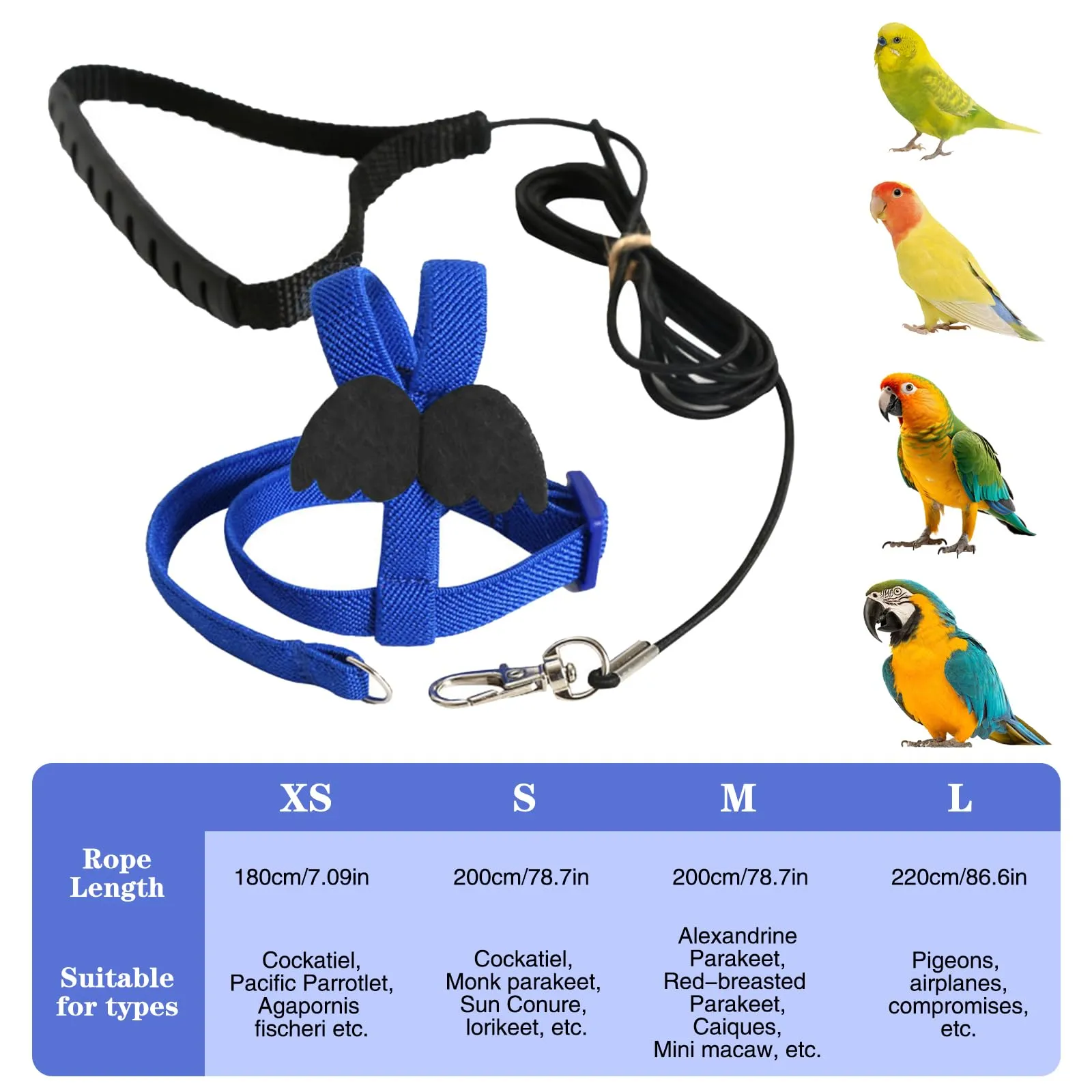 Winmany Imbracatura Regolabile per Pappagallo e Uccelli, Guinzaglio Elastico Anti-morso per Cacatos e Ara, Blu, S - immagine 2
