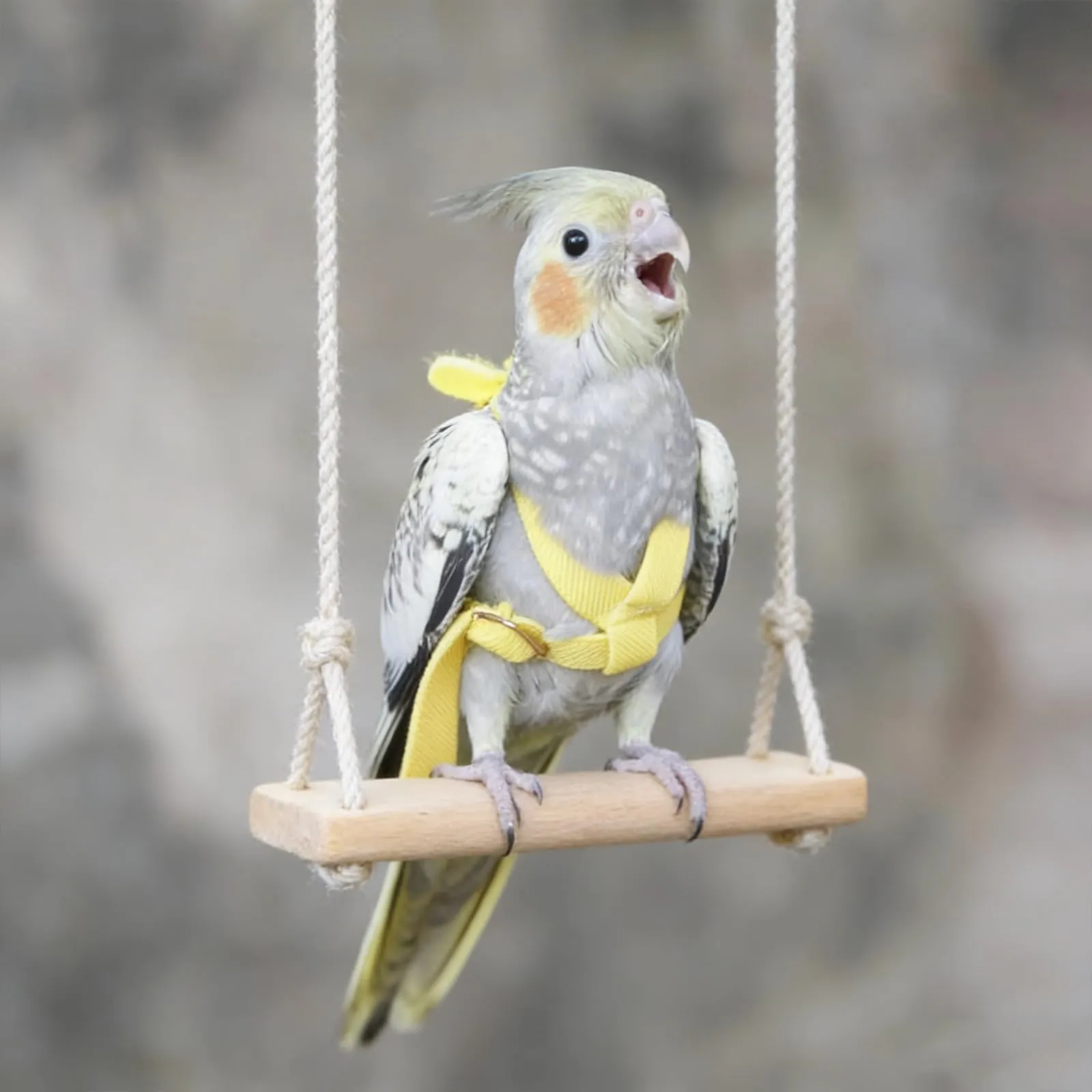 Winmany Imbracatura Regolabile per Pappagallo e Uccelli con Guinzaglio Elastico Anti-morso, Giallo, XS - immagine 7