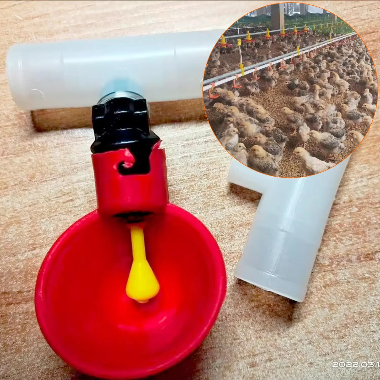 QWORK Abbeveratoio per Galline, Bevitori Automatici in Plastica per Pollame (25mm, per Secchi), 10 Pezzi - immagine 5