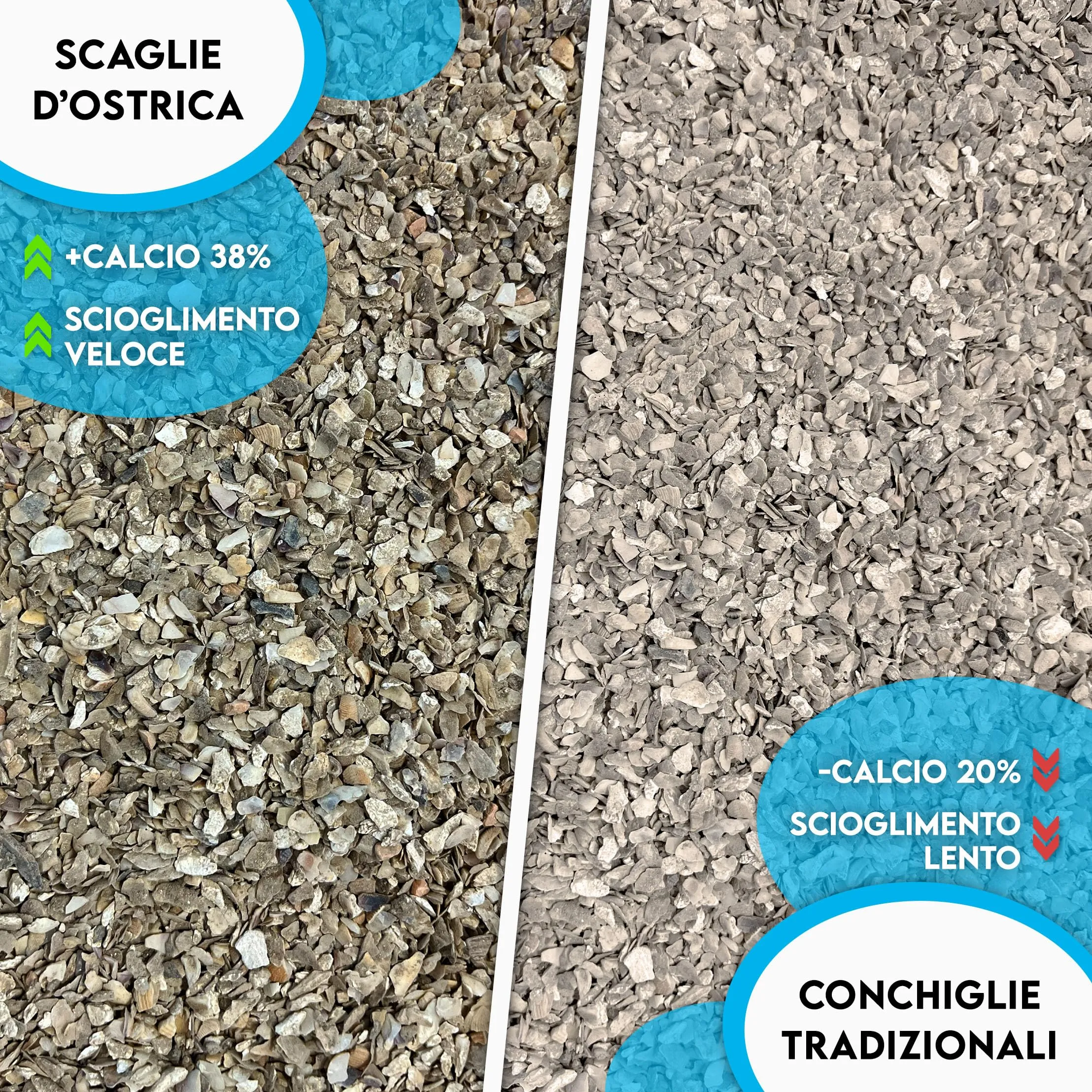 Zomapet Ostrik Mangime Galline Ovaiole a base di scaglie d’ostrica 3/5mm, 450g - immagine 3