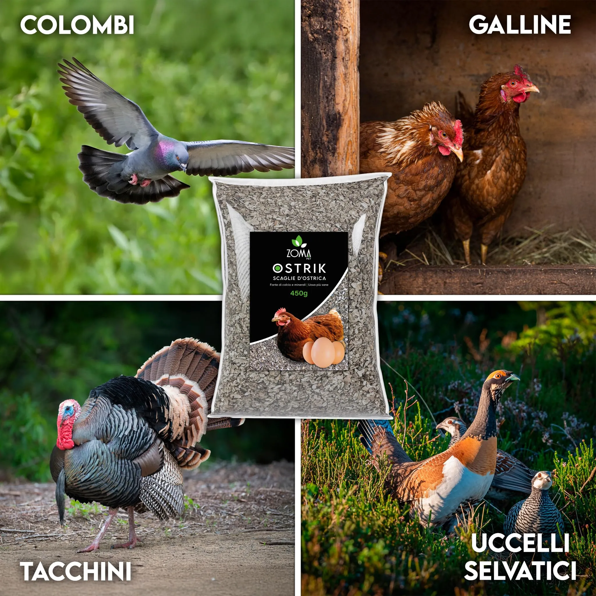 ZOMA Zomapet Ostrik Mangime Galline Ovaiole a base di scaglie d’ostrica 3/5mm 10kg - immagine 6