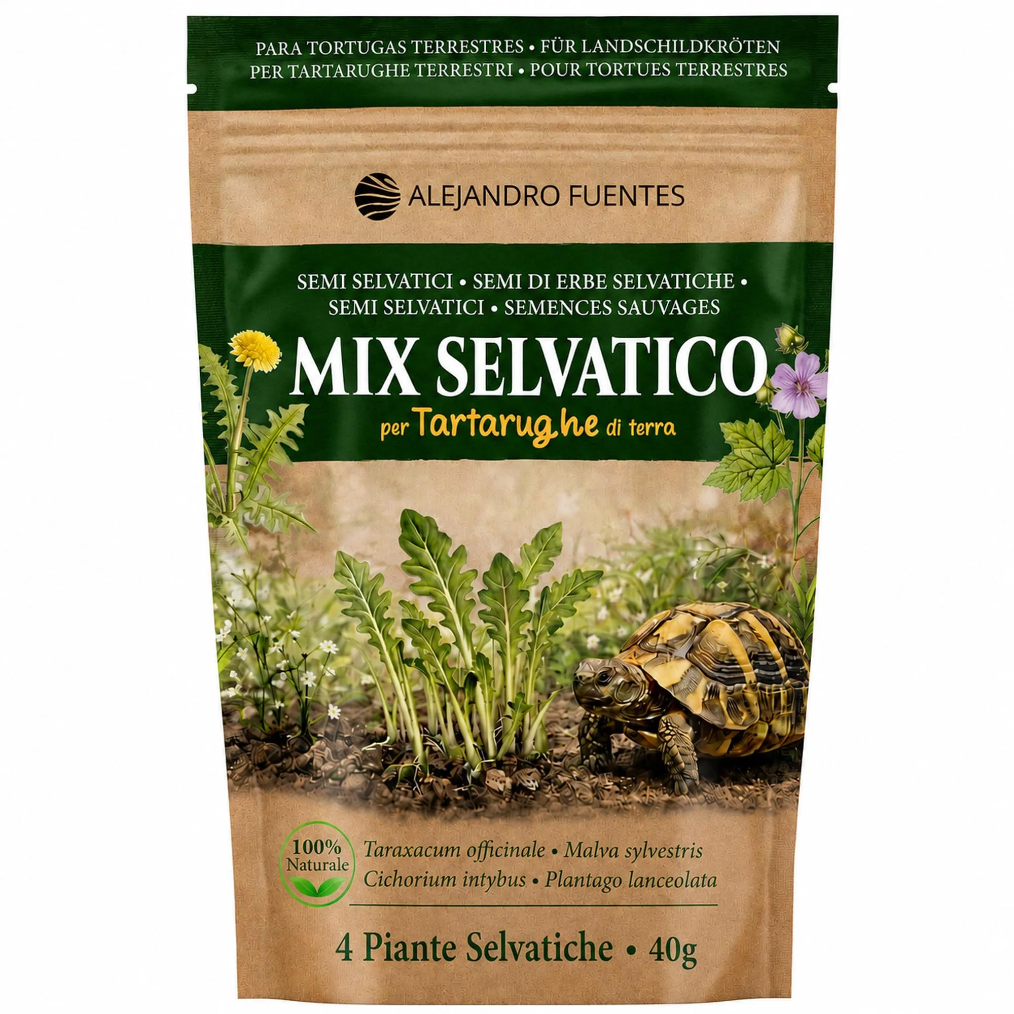 Alejandro Fuentes Mix Semi per Tartarughe di Terra, Formulazione Lenta 40g - Tarassaco, Malva, Piantaggine, Cicoria - immagine 1