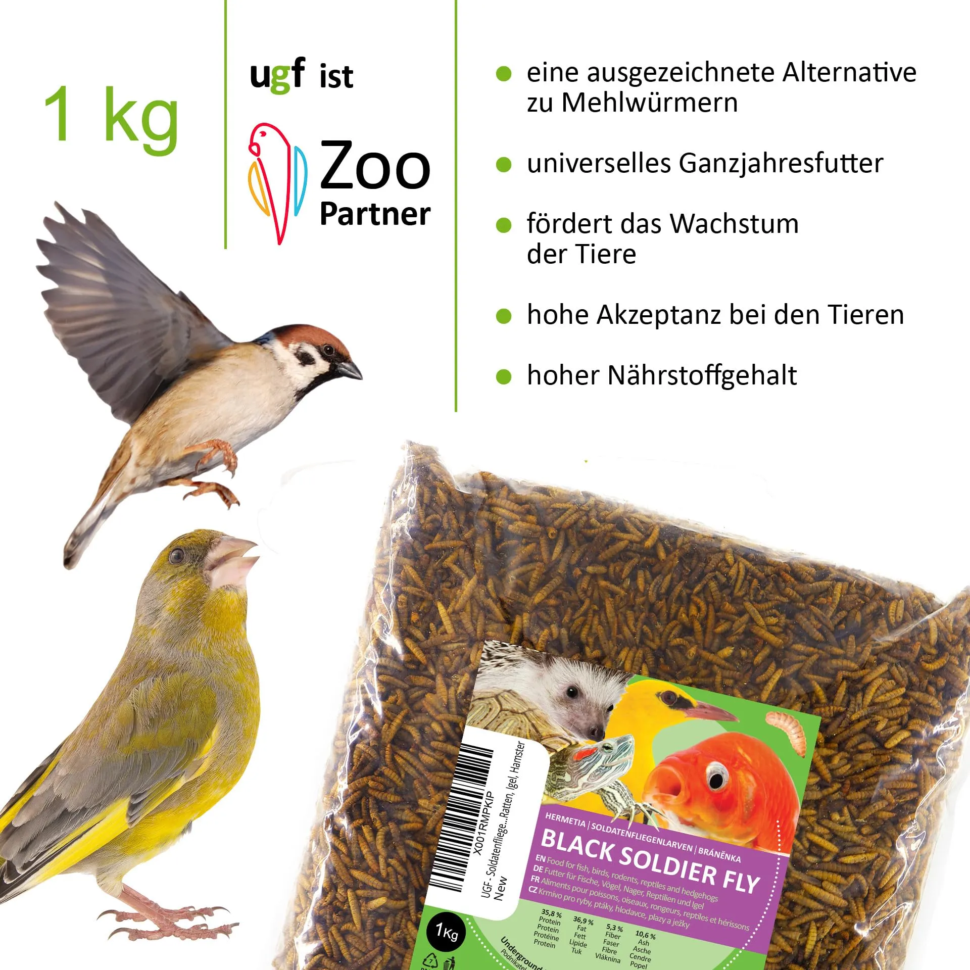 UGF Underground Food Larve di mosca soldato nera essiccate (1 kg) - immagine 2