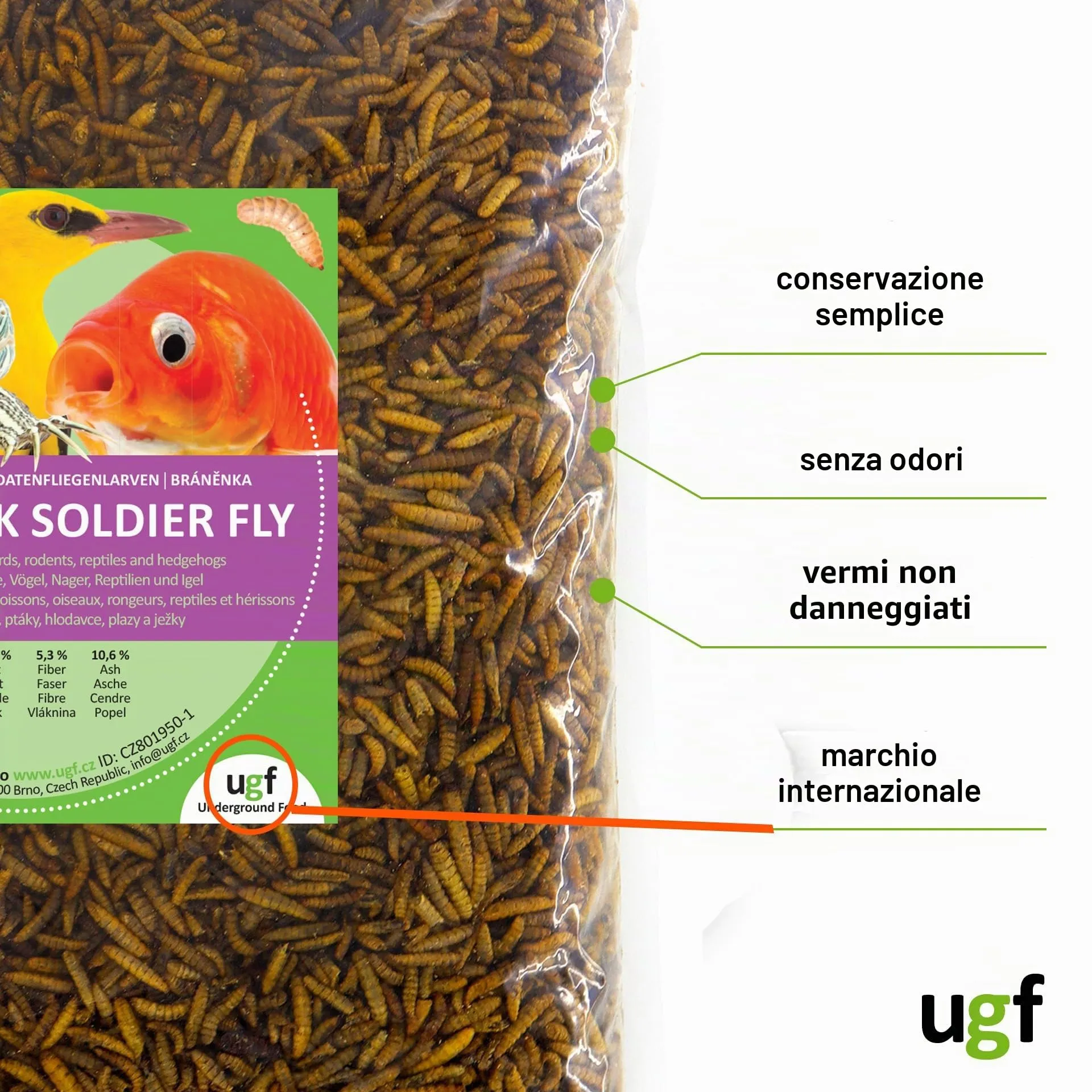 UGF Underground Food Larve di mosca soldato nera essiccate (1 kg) - immagine 7