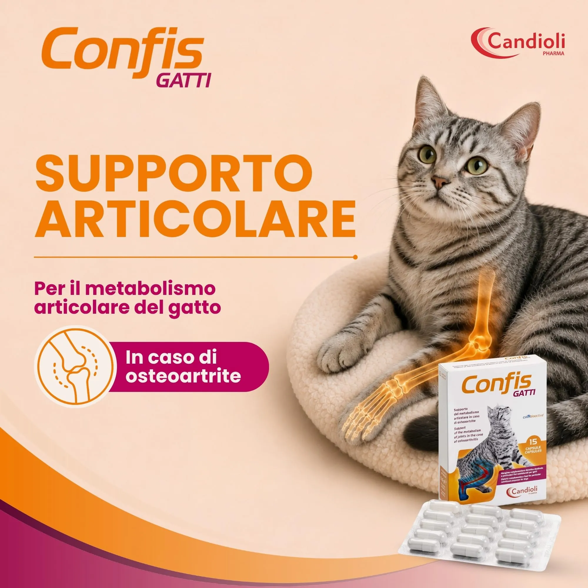 Candioli Confis Gatto, Mangime Complementare Dietetico con Glucosamina e Solfato di Condroitina per Articolazioni, 15 Capsule - immagine 2