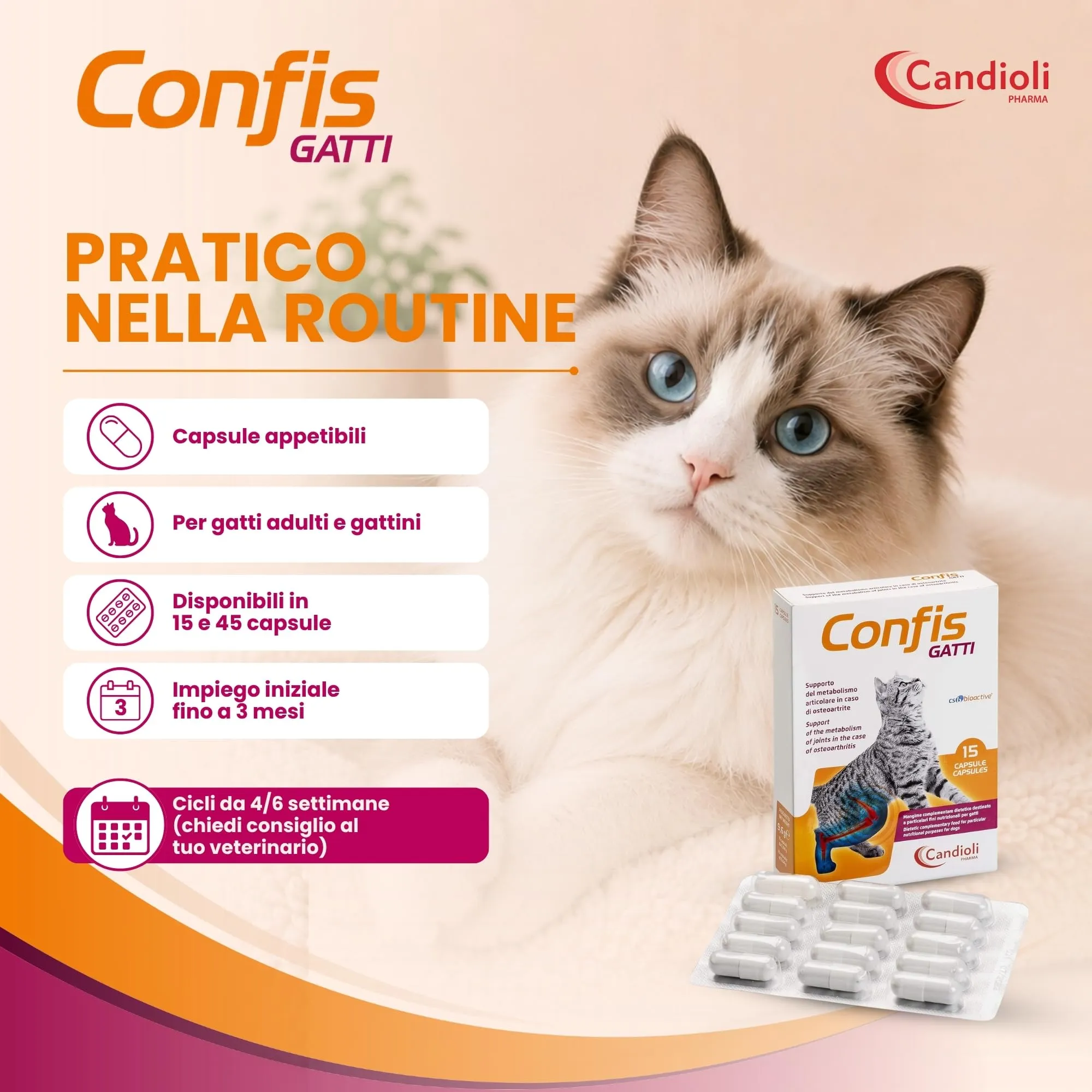 Candioli Confis Gatto, Mangime Complementare Dietetico con Glucosamina e Solfato di Condroitina per Articolazioni, 15 Capsule - immagine 4